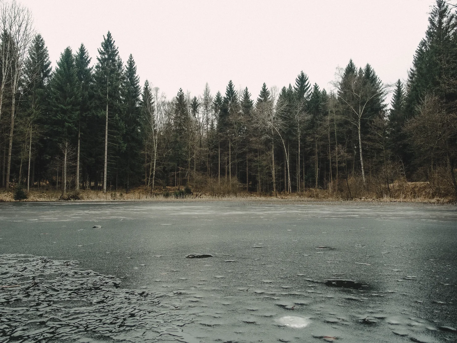 Forsteig Elbsandstein Lesni Stezka Labske Piskovce Nalehko 01 15