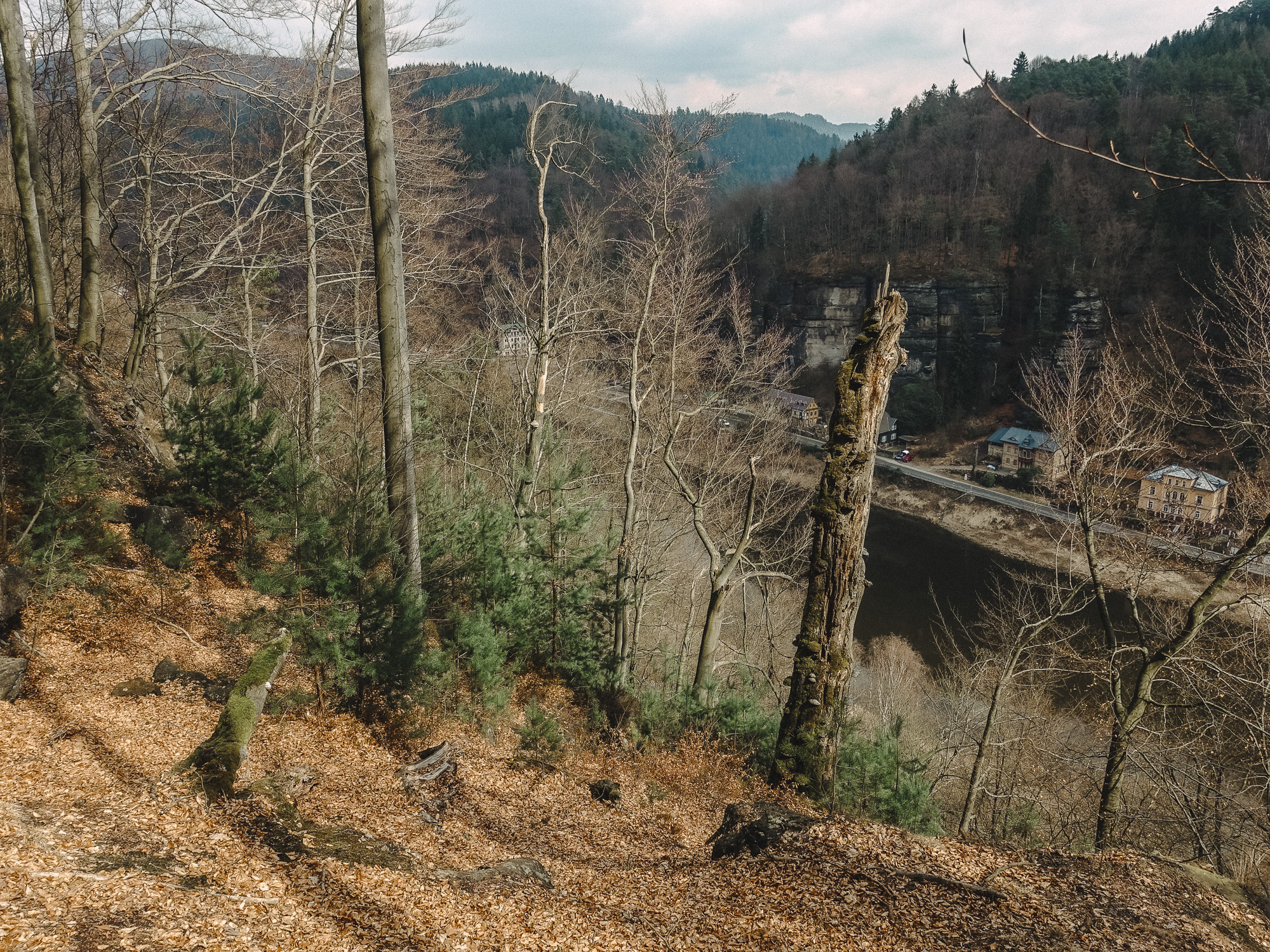 Forsteig Elbsandstein Lesni Stezka Labske Piskovce Nalehko 01 26