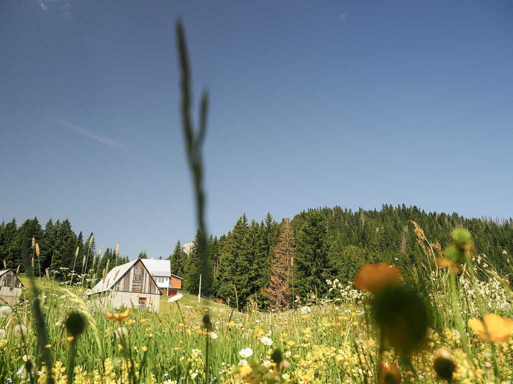3 Durmitor Cesta K Jezeru Jablan