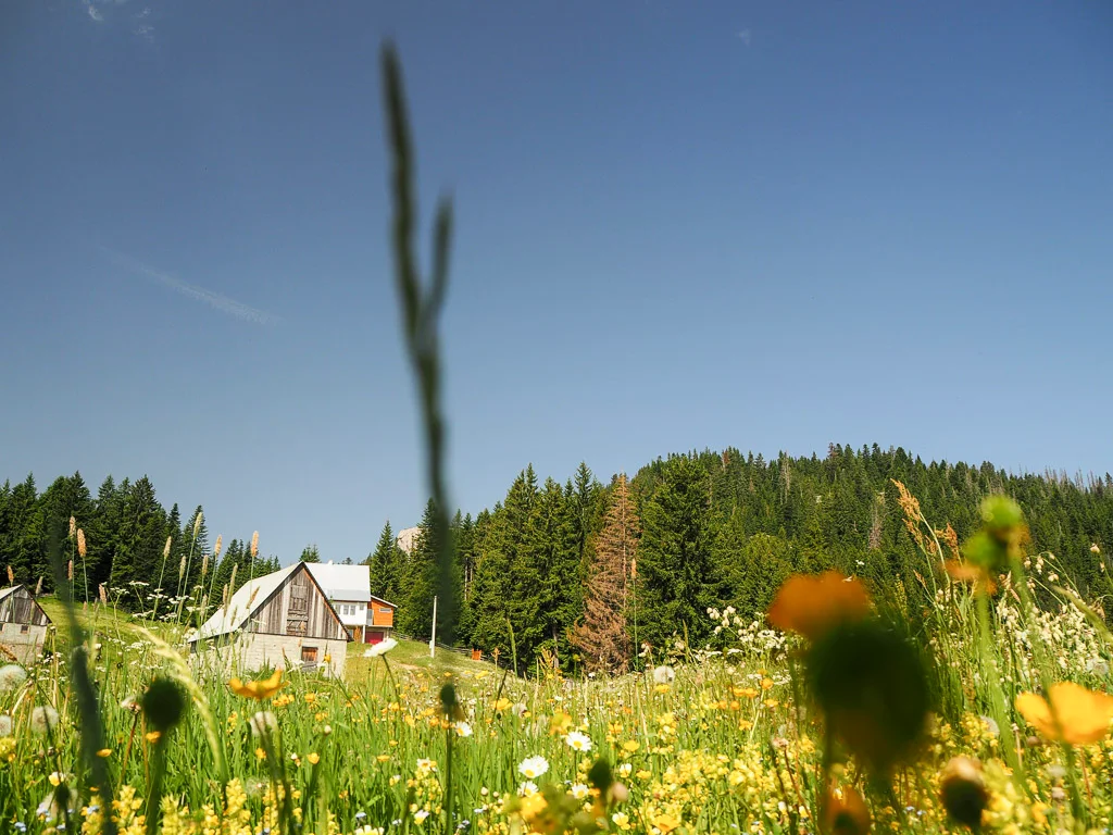 3 Durmitor Cesta K Jezeru Jablan