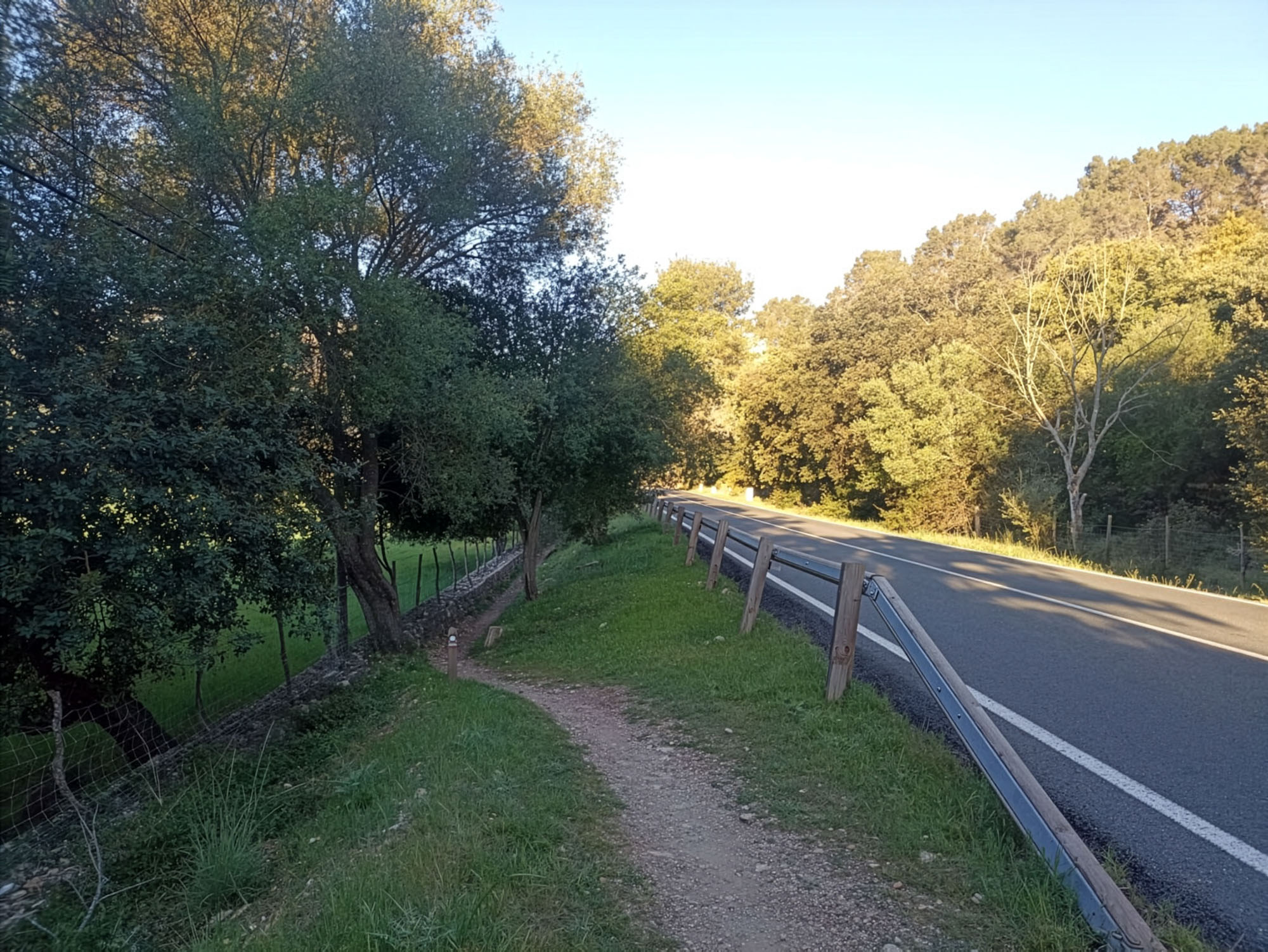 Mallorca Gr 221