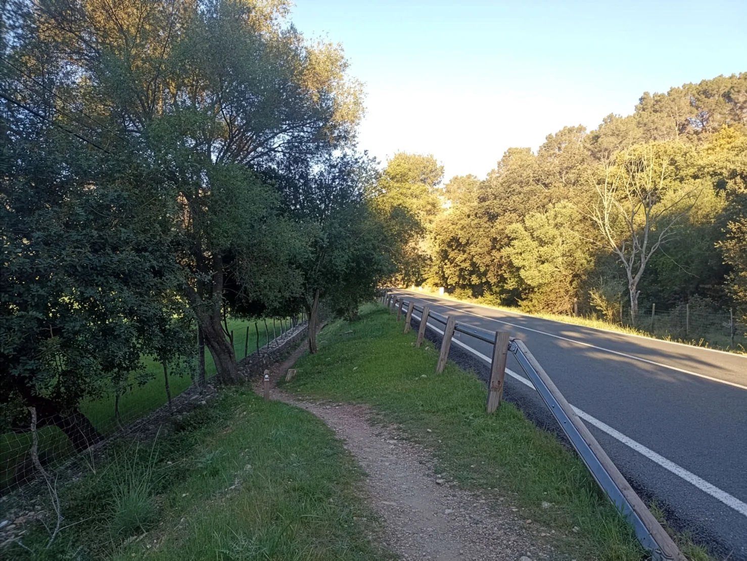 Mallorca Gr 221