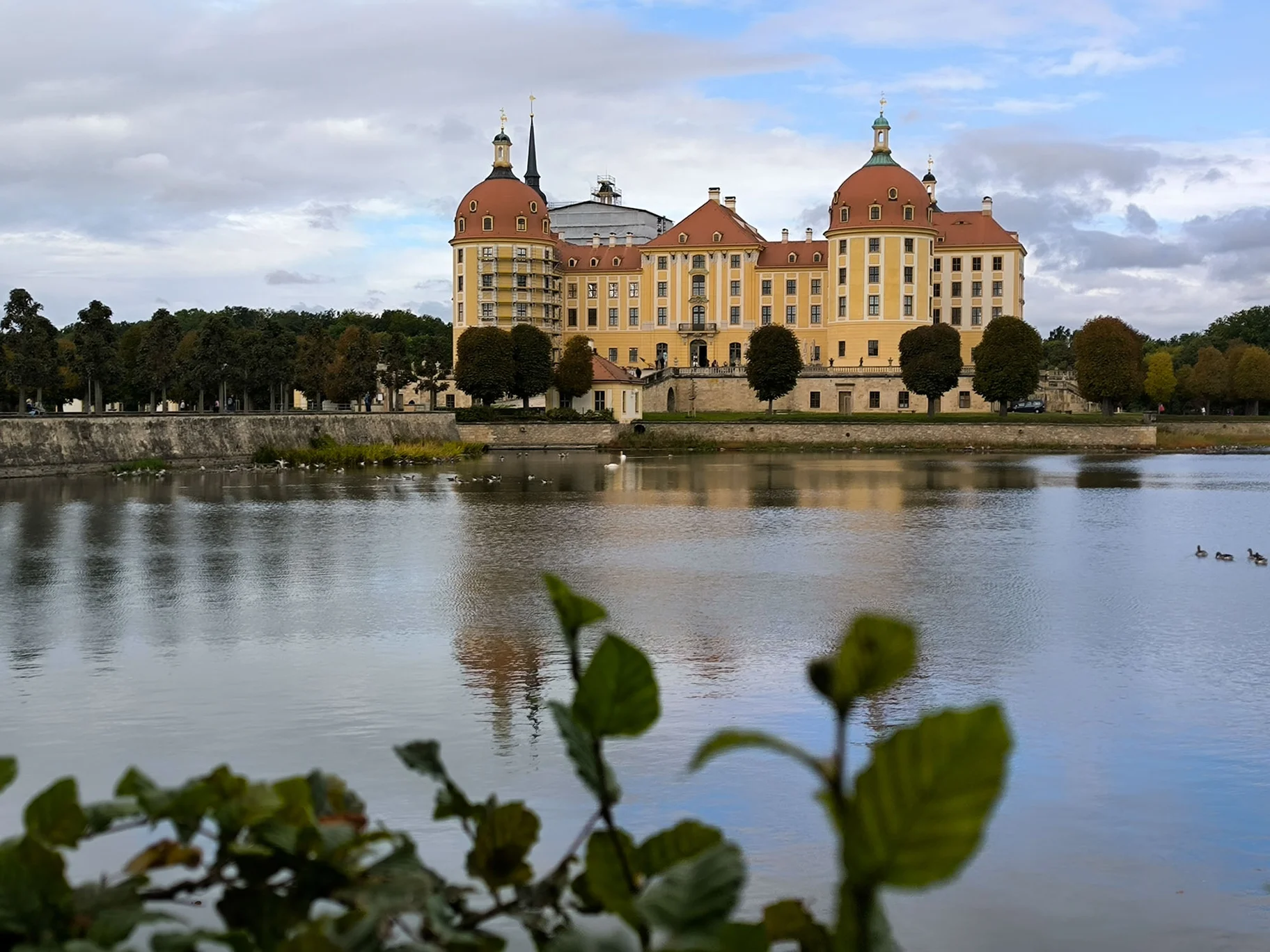 Zamek Moritzburg