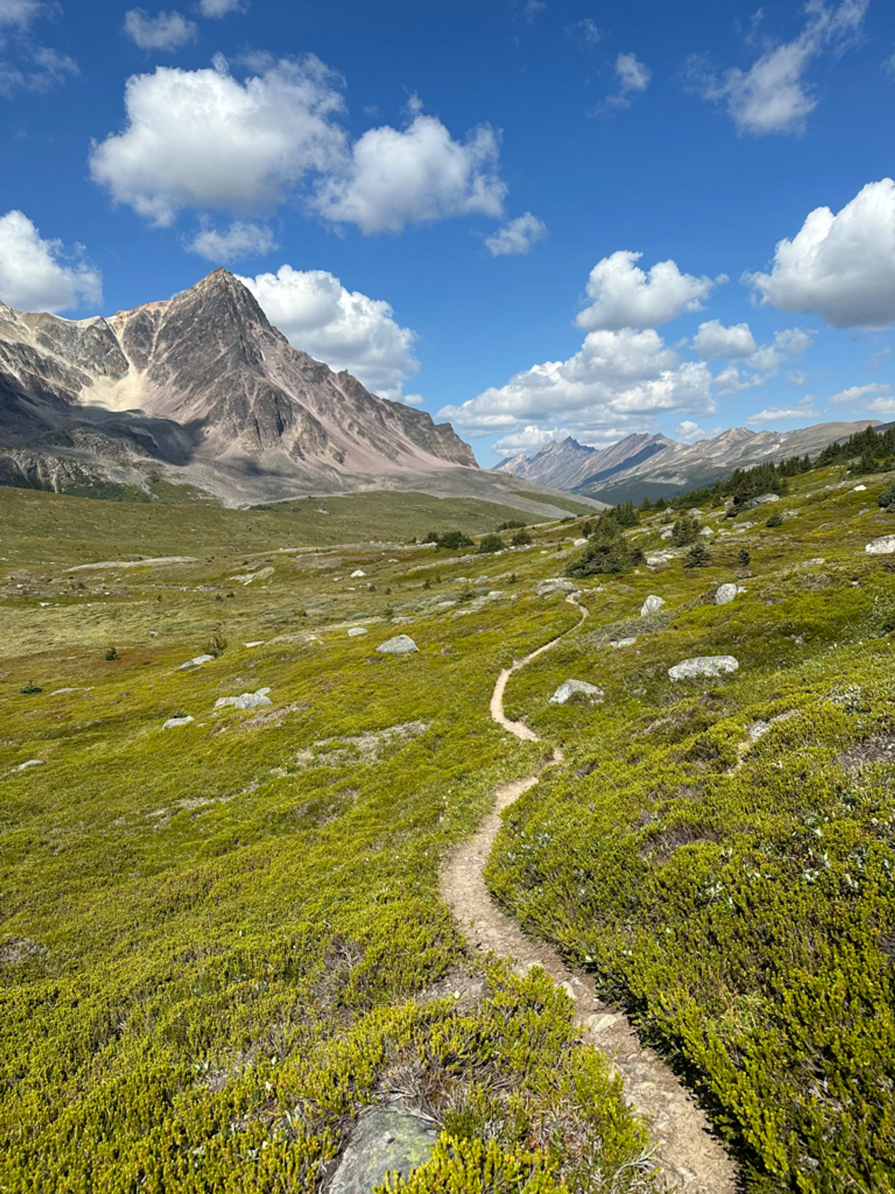 Great Divide Trail Dokonaly Trail