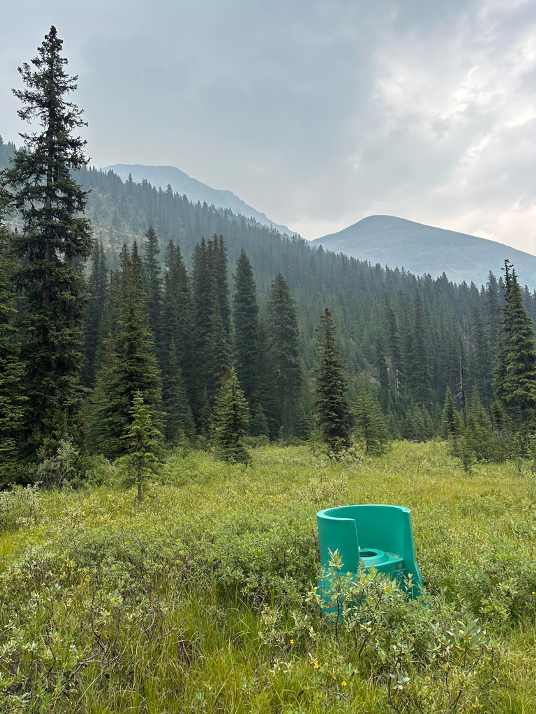 Great Divide Trail Exponovany Trun