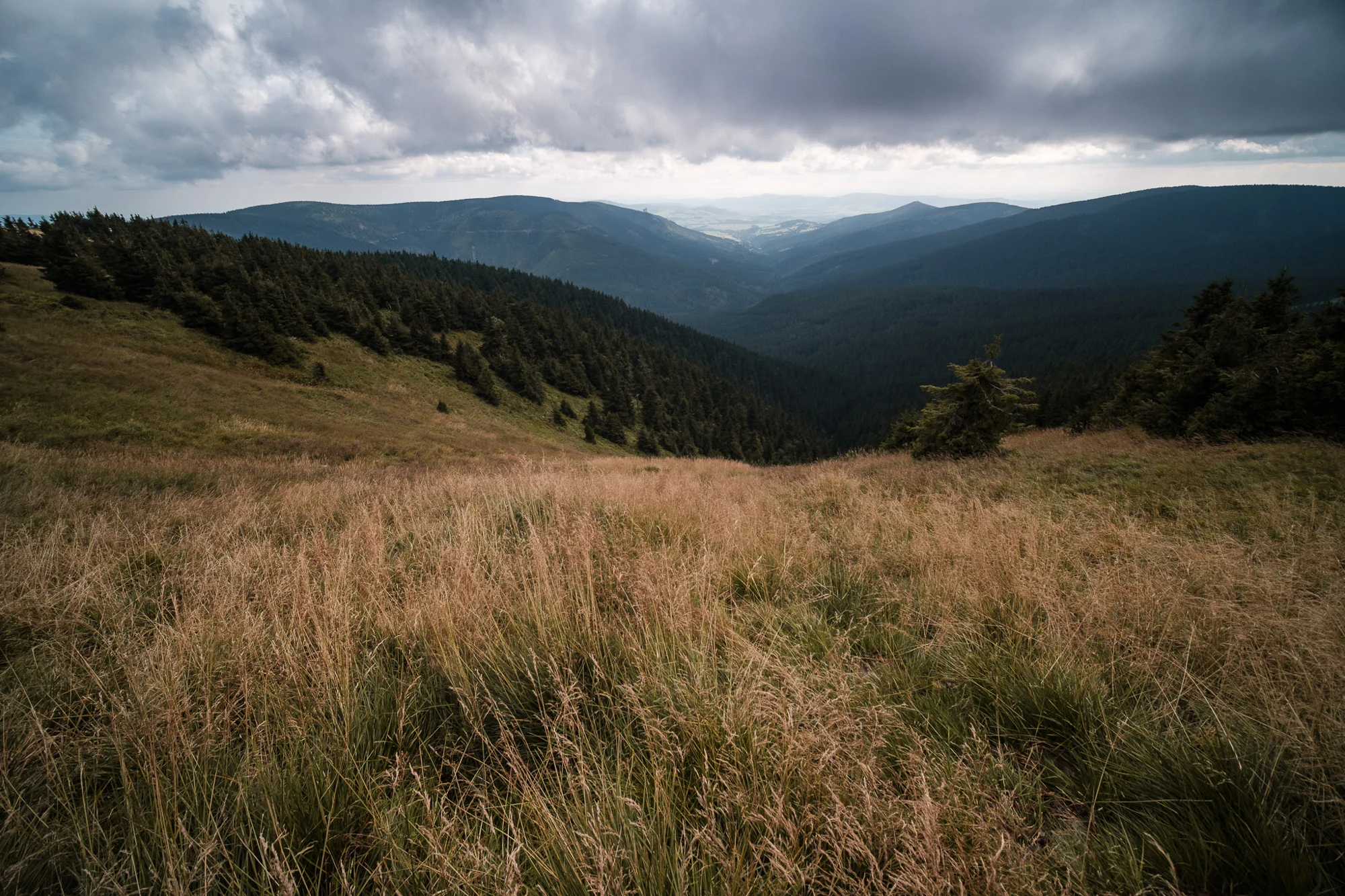 Prechod Kralicky Sneznik Rychlebske Hory Jeseniky Nalehko 06
