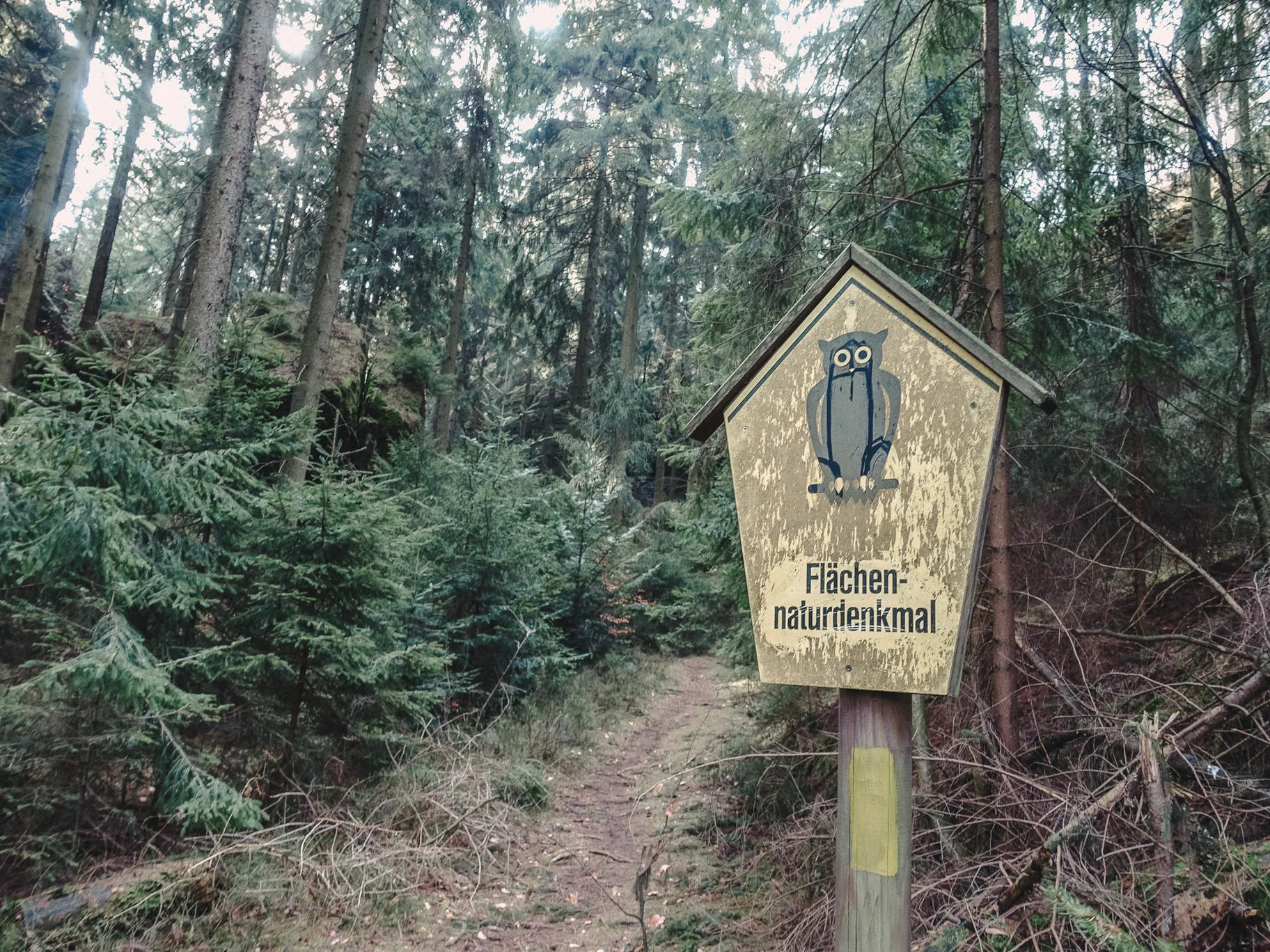 Forsteig Elbsandstein Lesni Stezka Labske Piskovce Nalehko 01 1