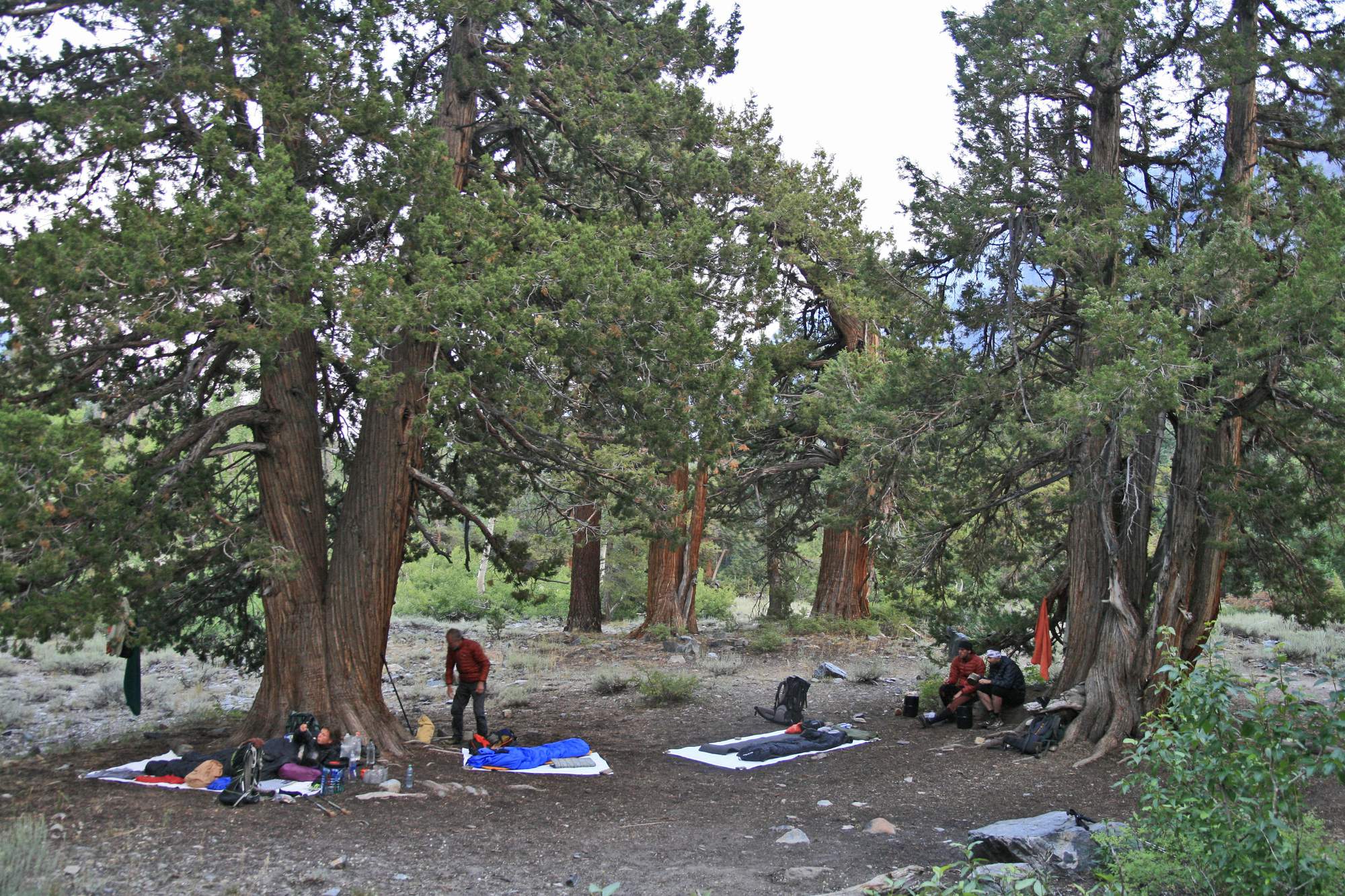 John Muir Trail Nalehko 9