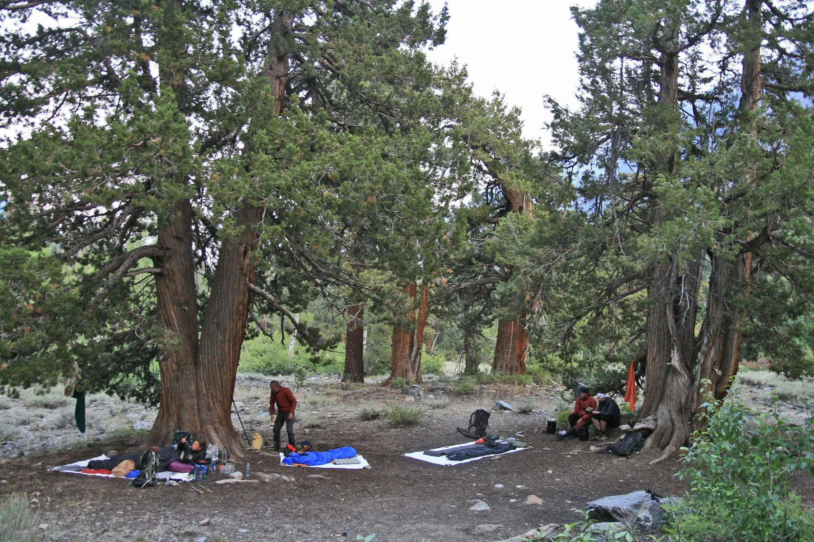 John Muir Trail Nalehko 9