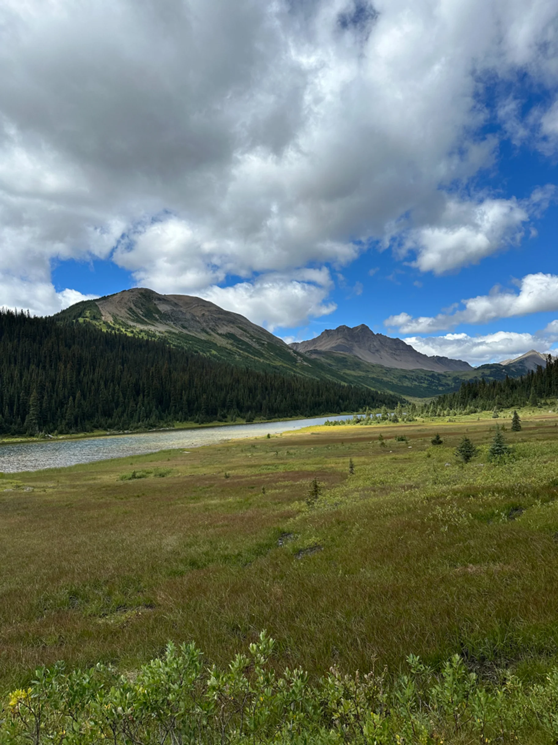 Great Divide Trail Za Jasperem Po Trailu Bez Trailu