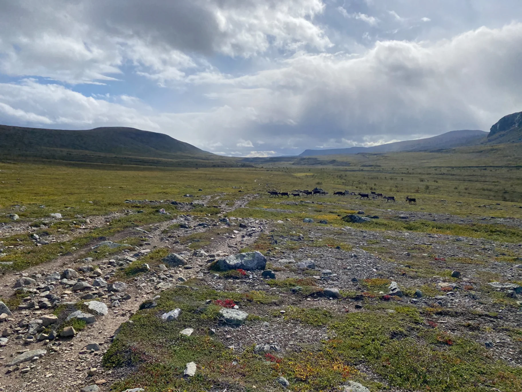 Dalkovy Trek Kungsleden Sobi