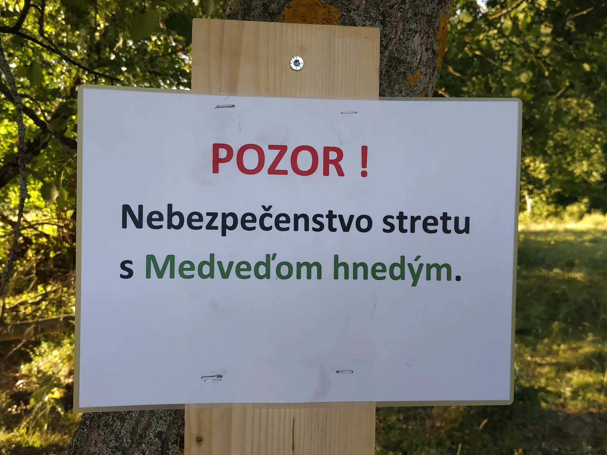 Rozhovor Petr Ozogan 1000 Mil Nalehko  114