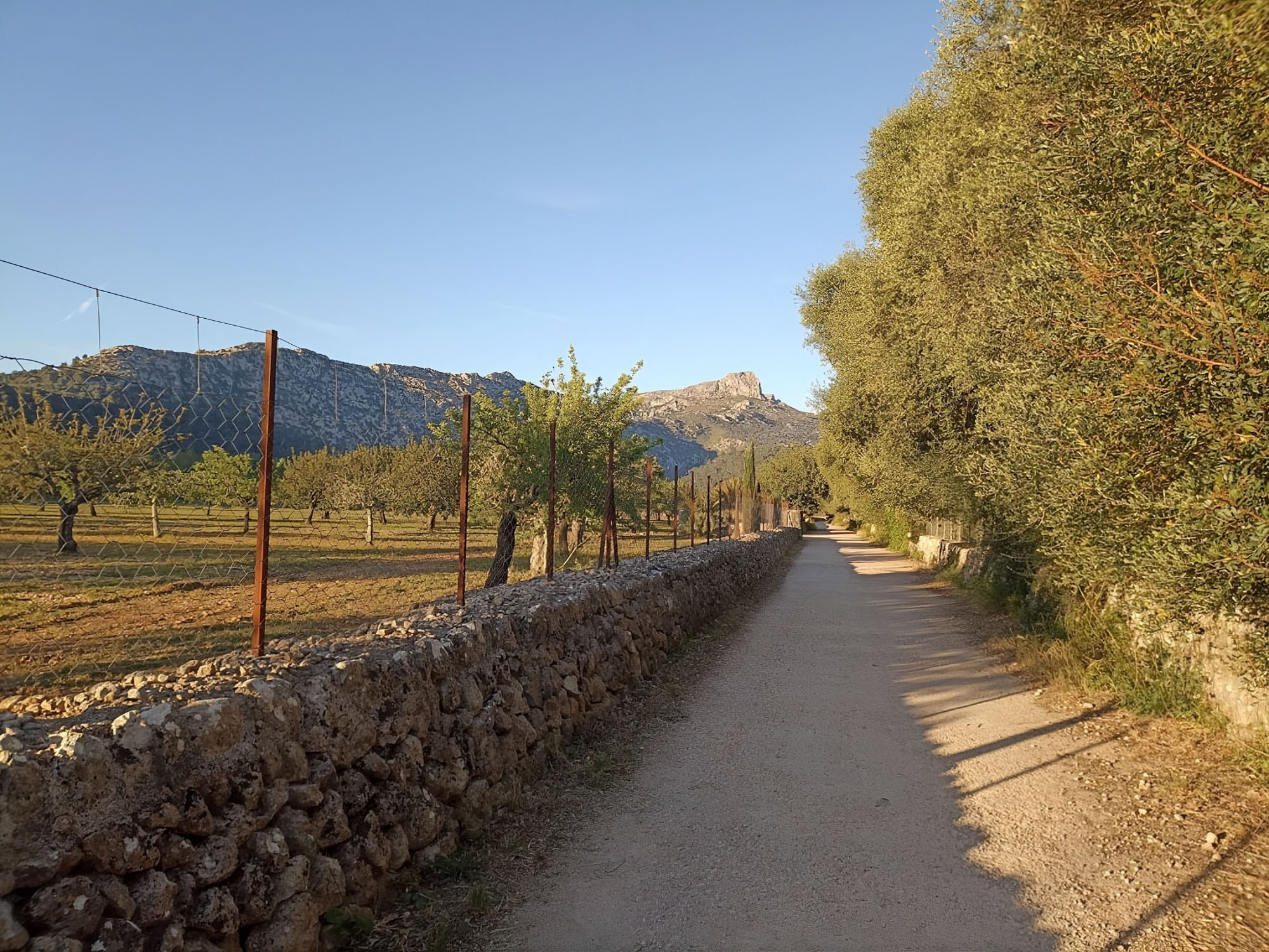 Gr 221 Trail