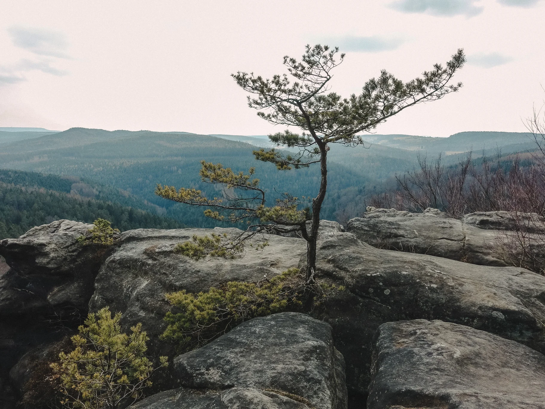 Forsteig Elbsandstein Lesni Stezka Labske Piskovce Nalehko 01 9