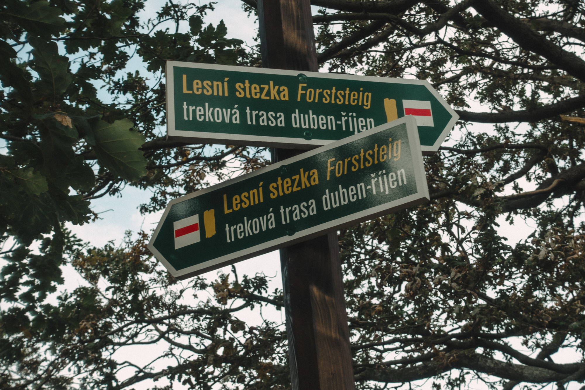 Prechod 100 Km Pesky S Ditetem Nalehko01 20