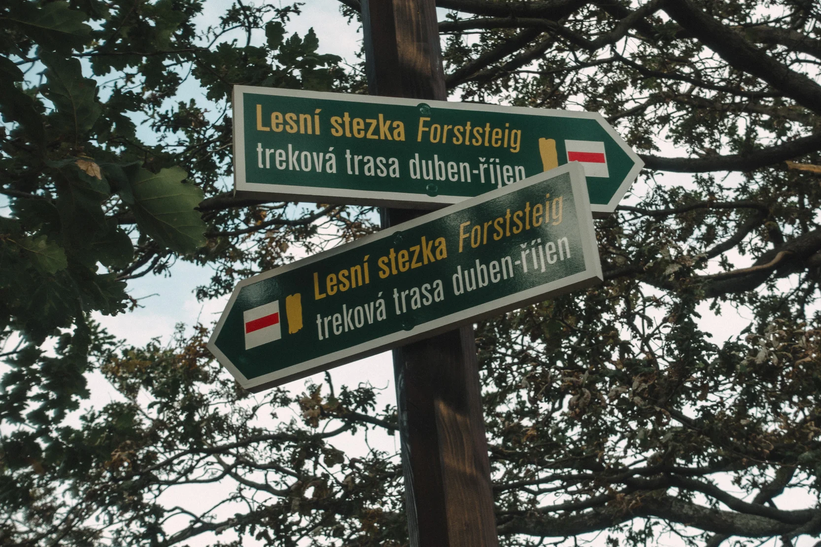 Prechod 100 Km Pesky S Ditetem Nalehko01 20