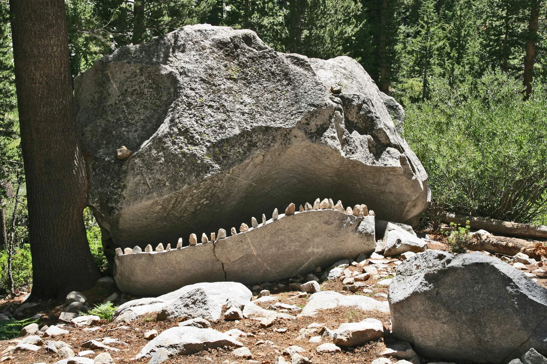 John Muir Trail Nalehko 24