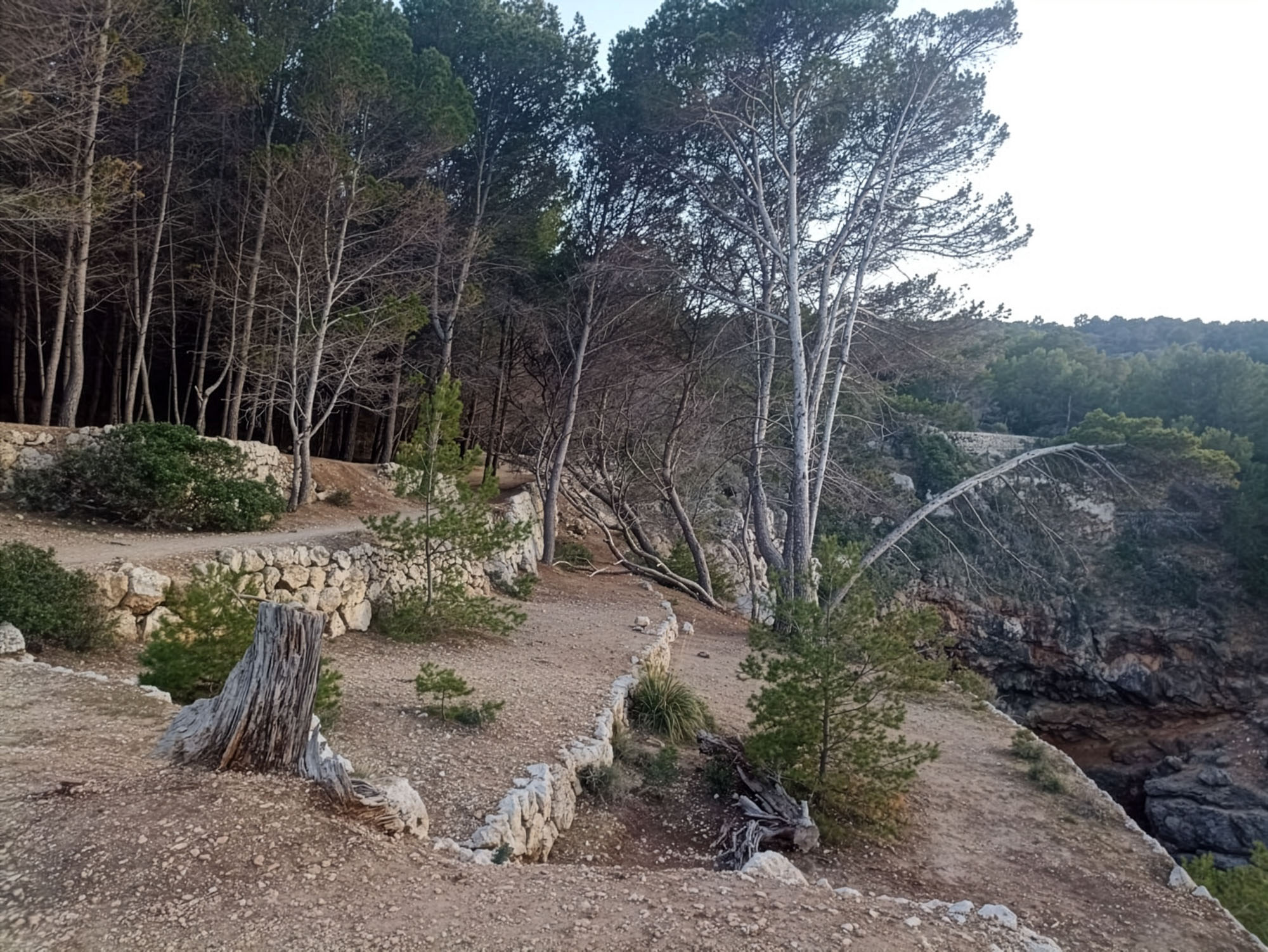 Nocoviste Cala Deia