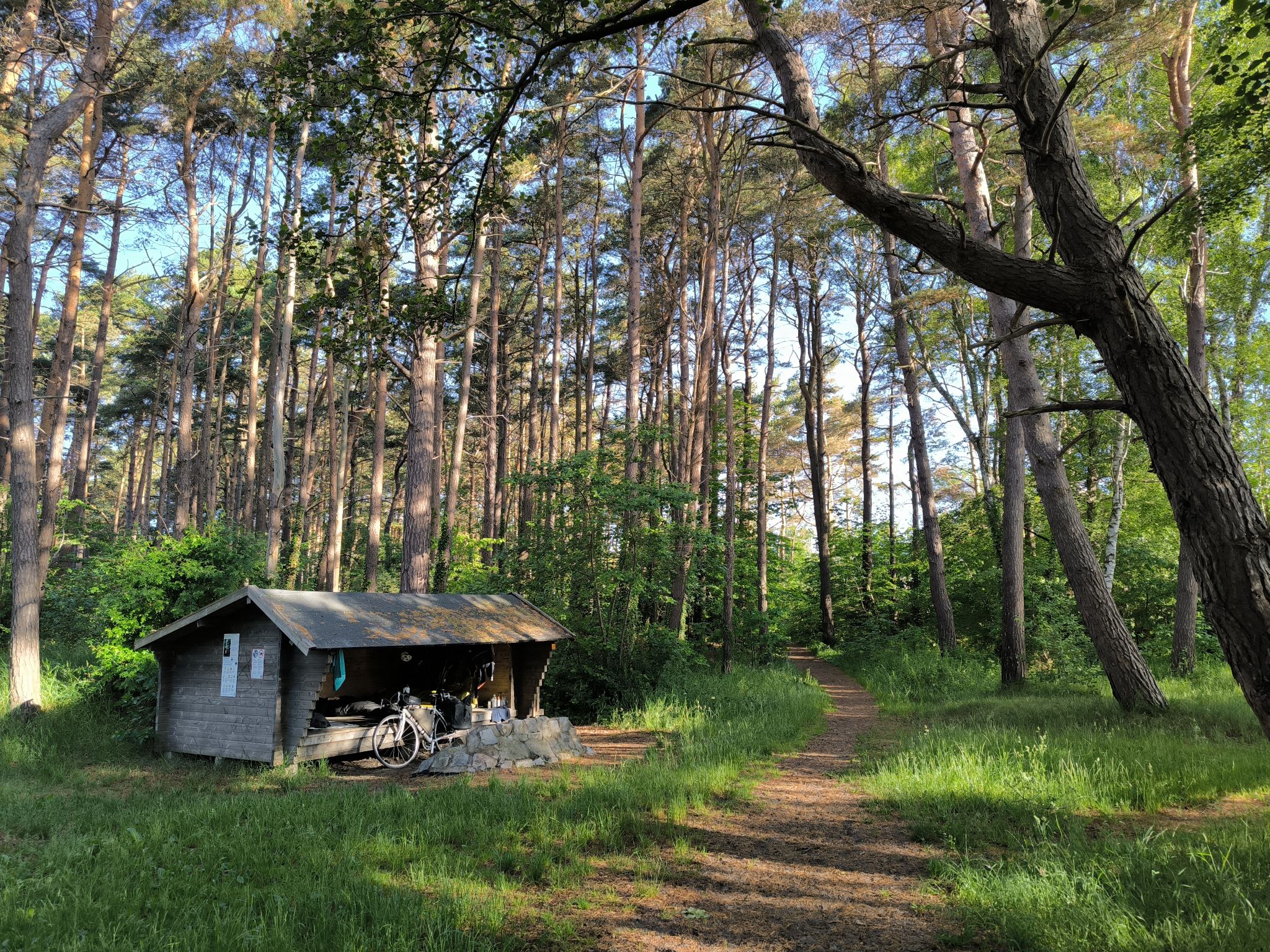 33 Bikepacking Svedsko