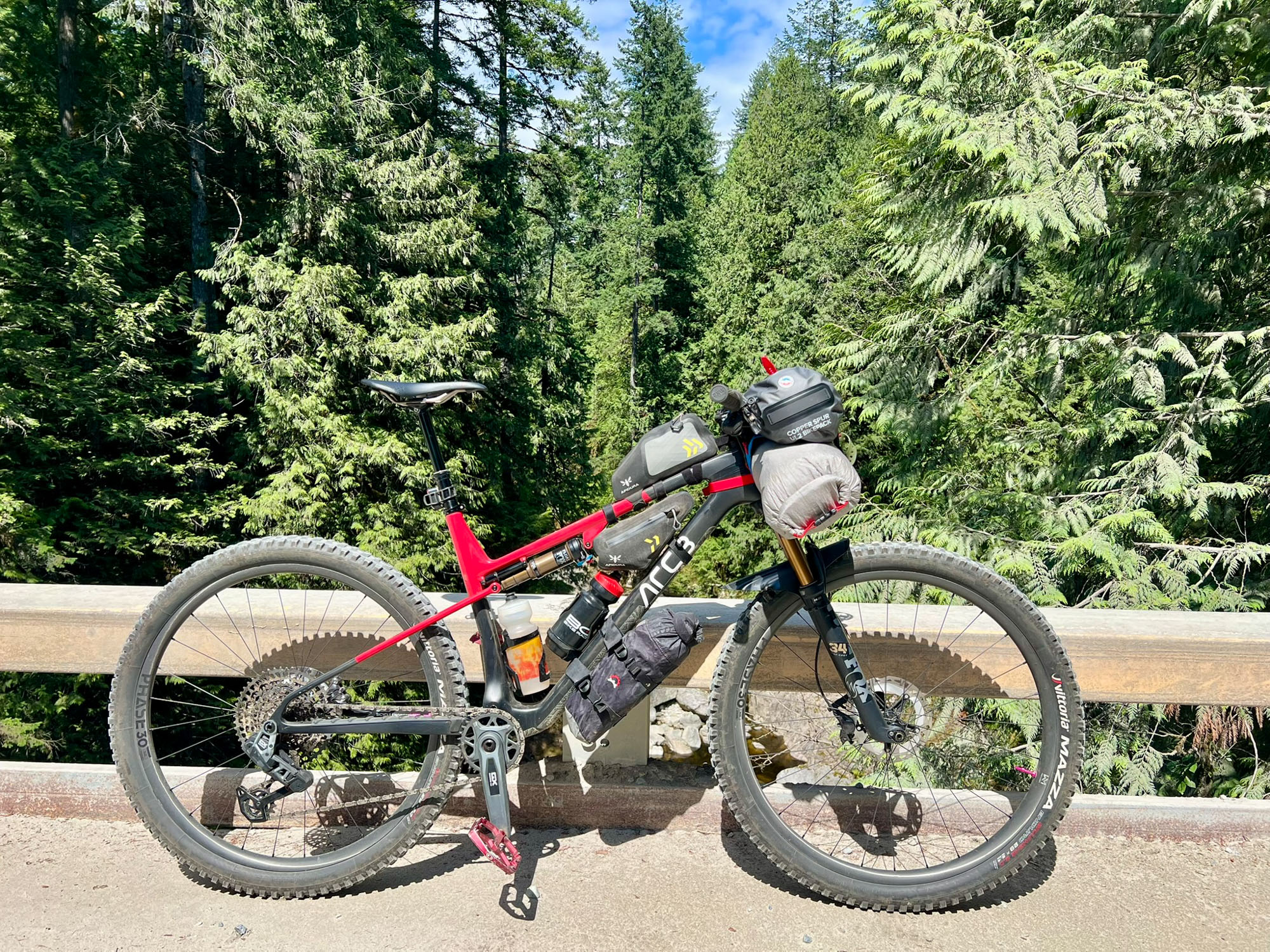 horské kolo v lese vybavené bikepackingovými brašnami