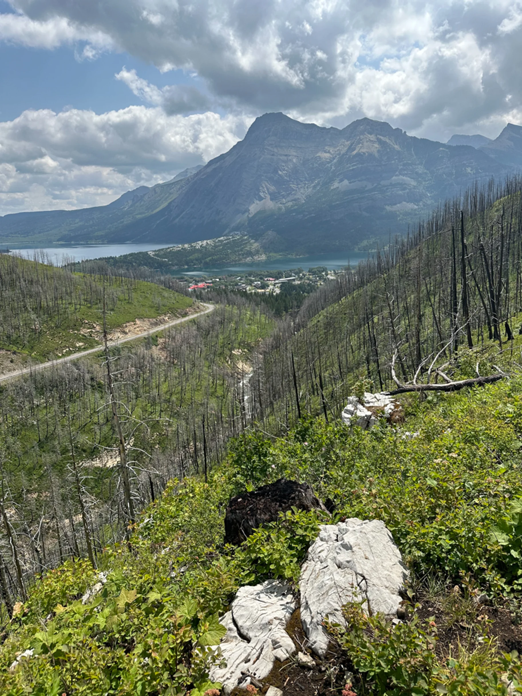 Great Divide Trail Nasledky Pozaru Nad Watertonem