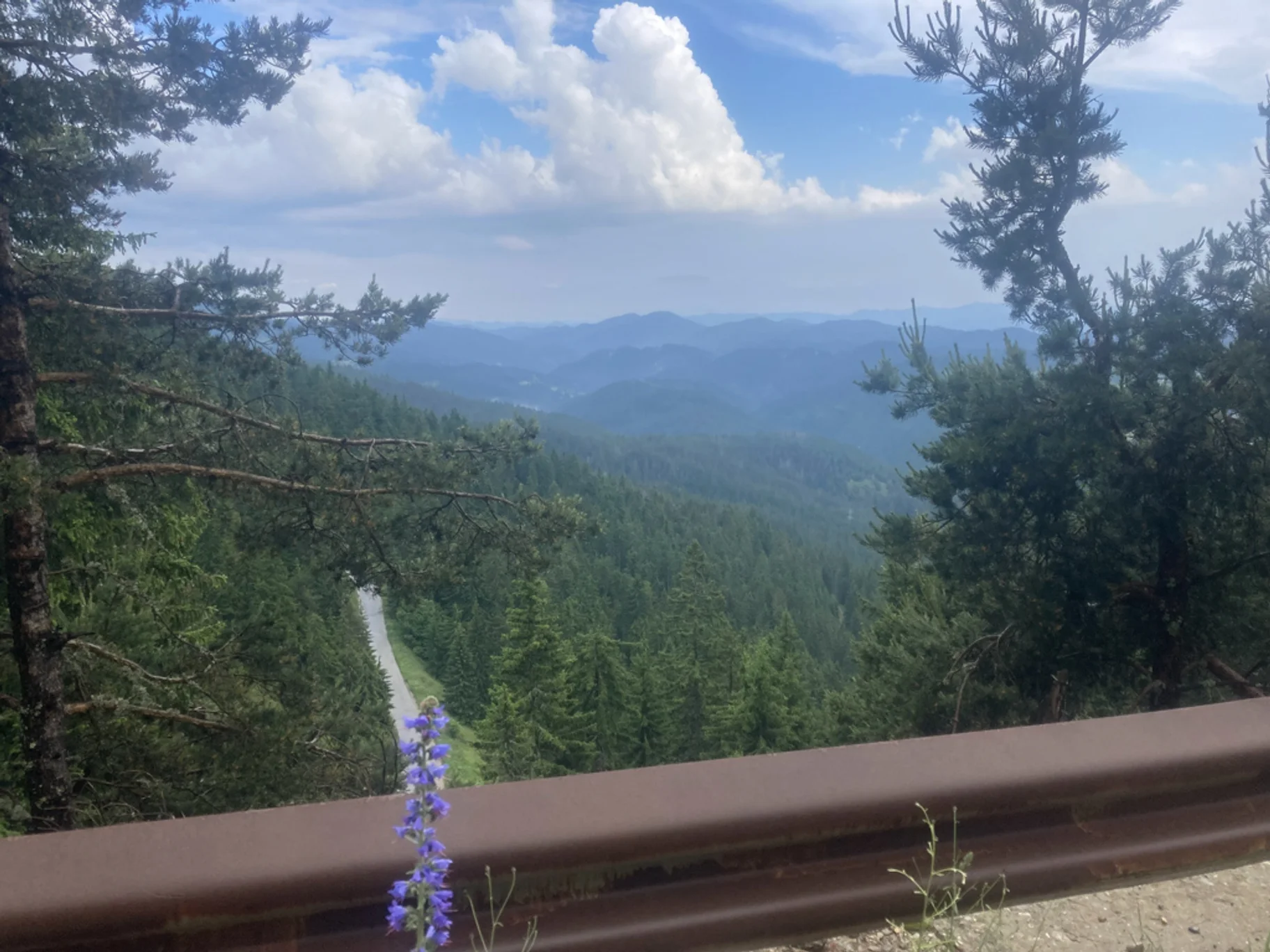 Smer Smolyan