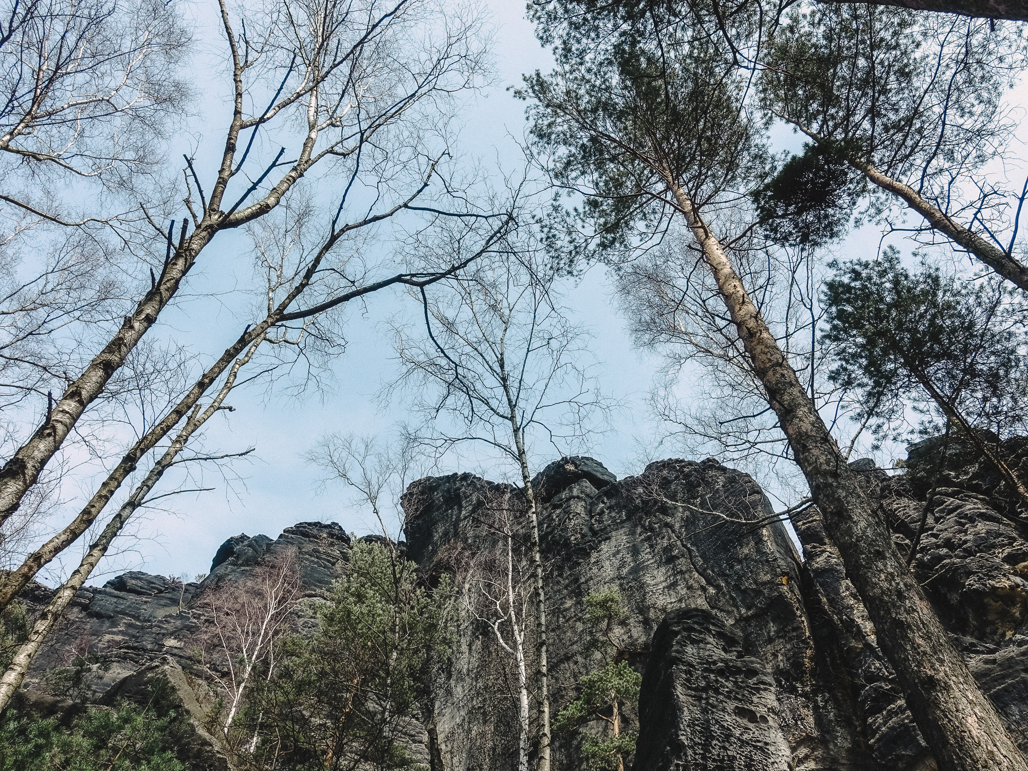 Forsteig Elbsandstein Lesni Stezka Labske Piskovce Nalehko 01 7
