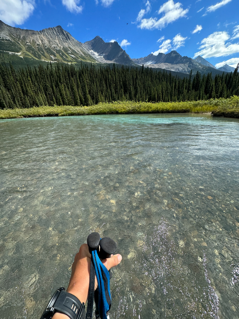 Great Divide Trail Jeden Z Lepsich Brodu