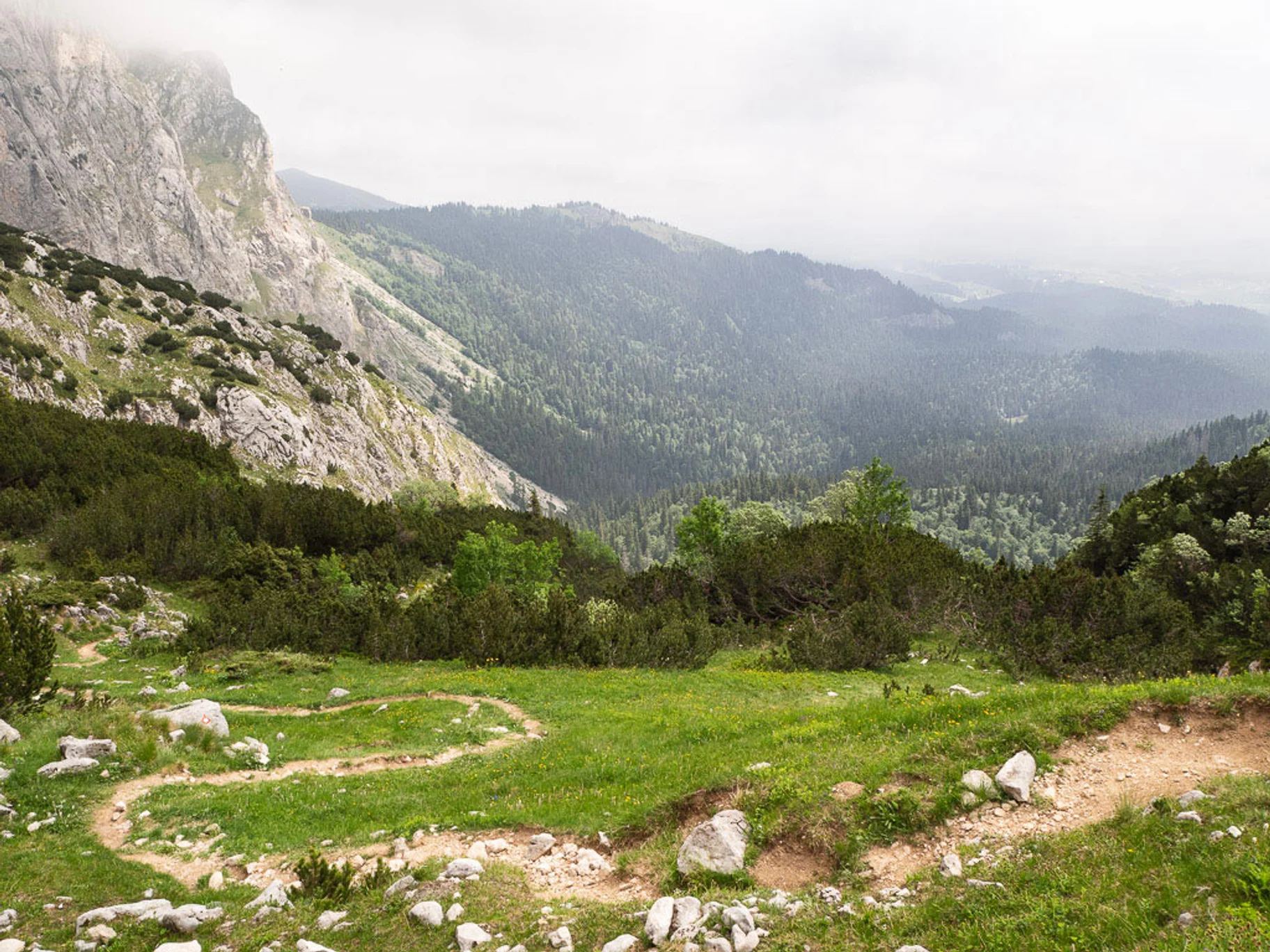 9 Durmitor Cesta Na Alisnici