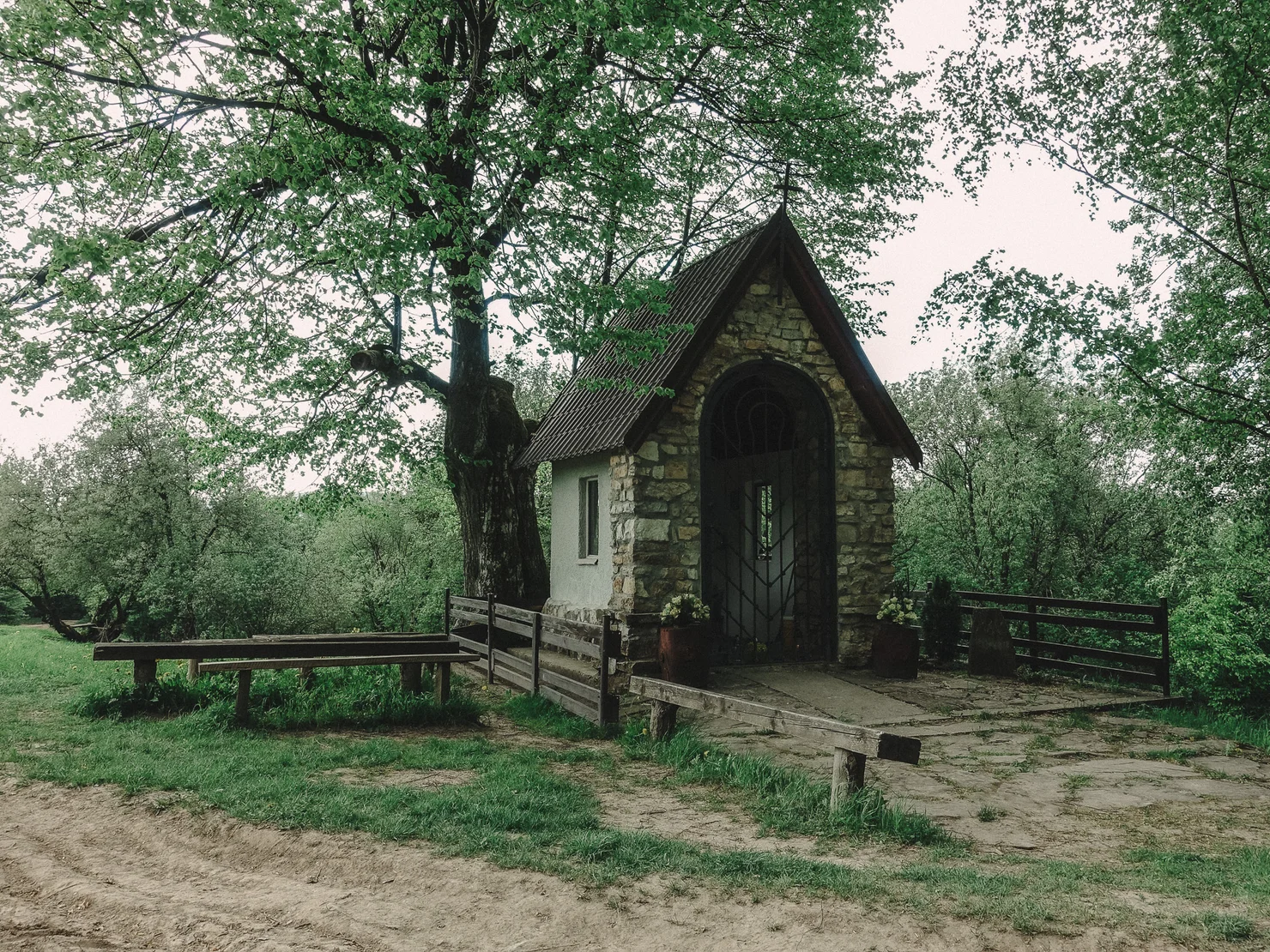 Prechod Bile Karpaty Nalehko 01 17