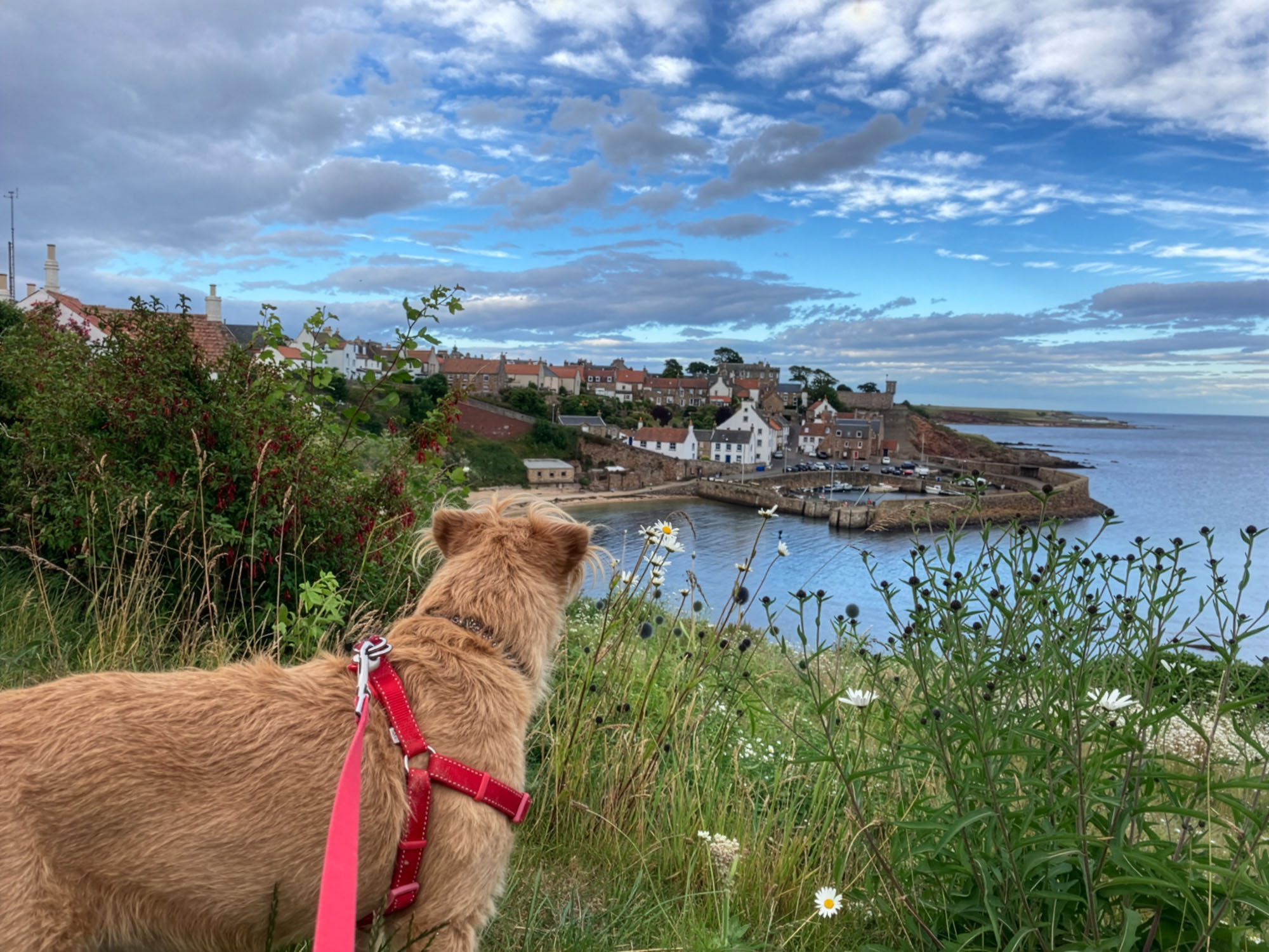 Skotsko Vyhled Na Crail