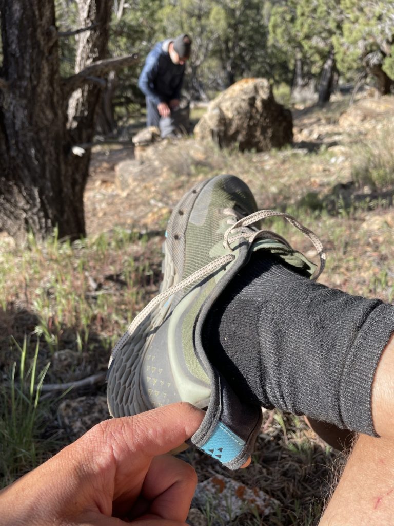 Hayduke Trail Timp4 9 Detail Scaled