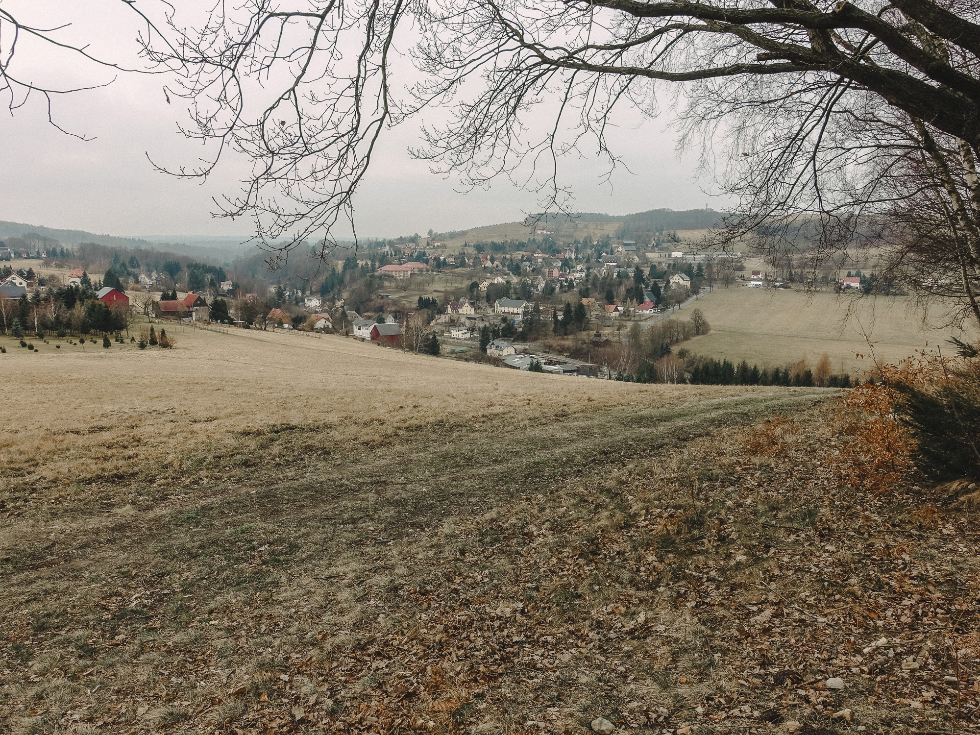 Forsteig Elbsandstein Lesni Stezka Labske Piskovce Nalehko 01 13