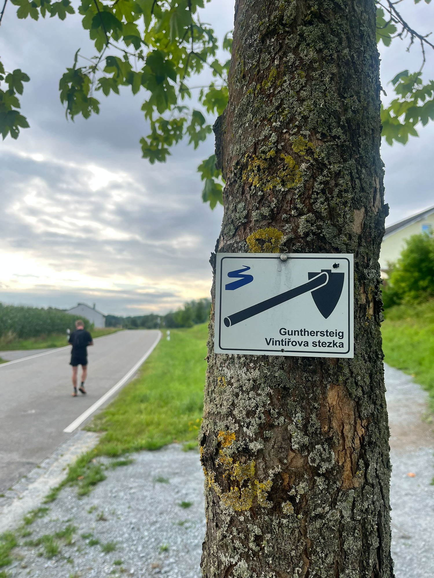 Vintirova Stezka 6