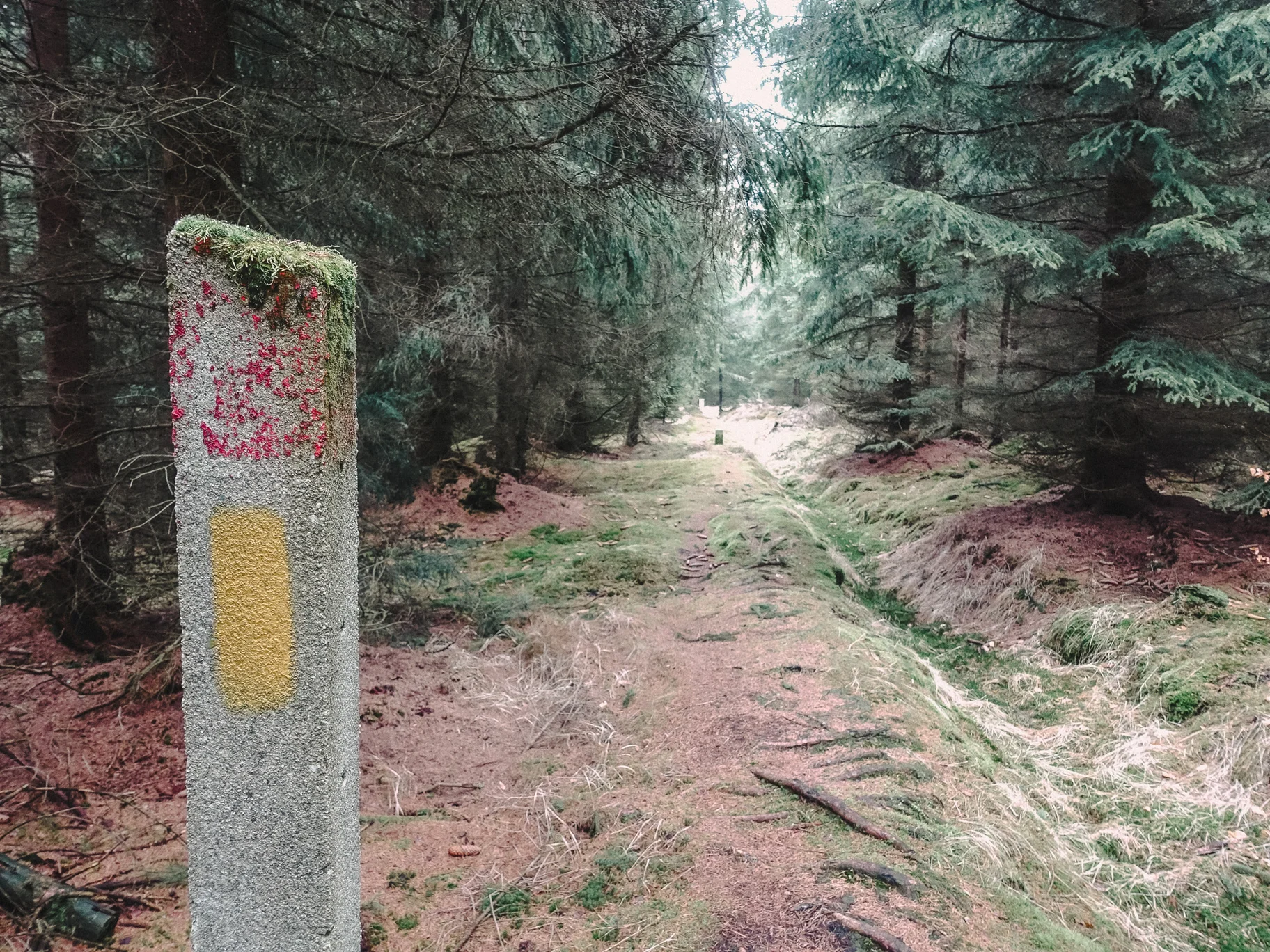 Forsteig Elbsandstein Lesni Stezka Labske Piskovce Nalehko 01 21