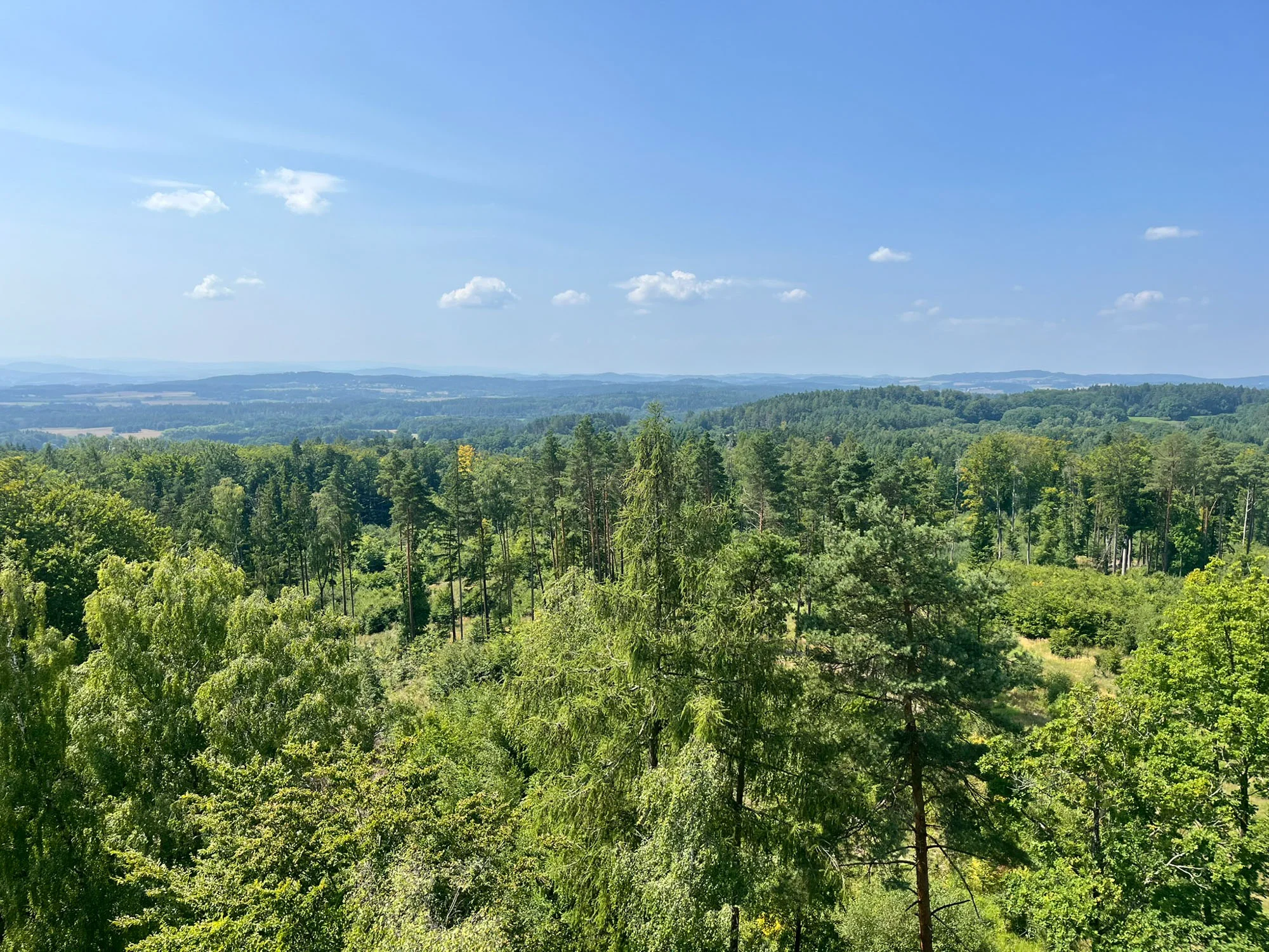 Vintirova Stezka 31