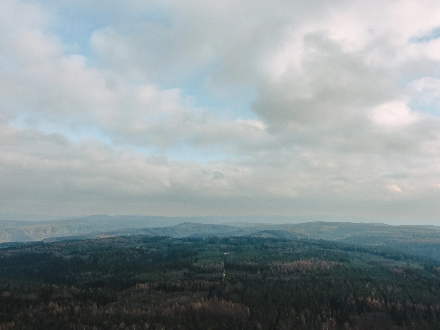 Forsteig Elbsandstein Lesni Stezka Labske Piskovce Nalehko 01 23