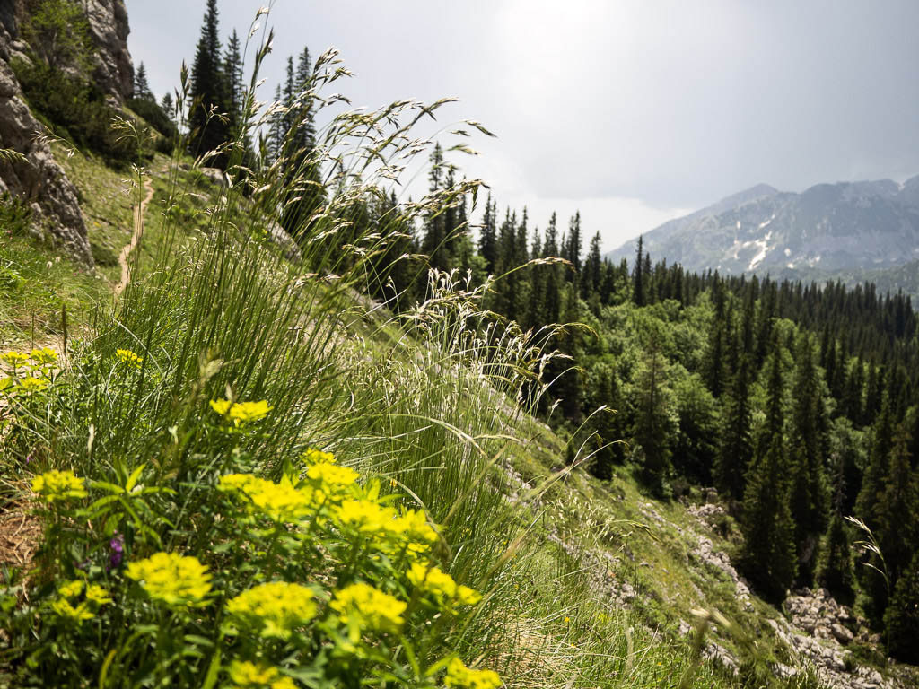 5 Durmitor Nad Jablan Jezerem