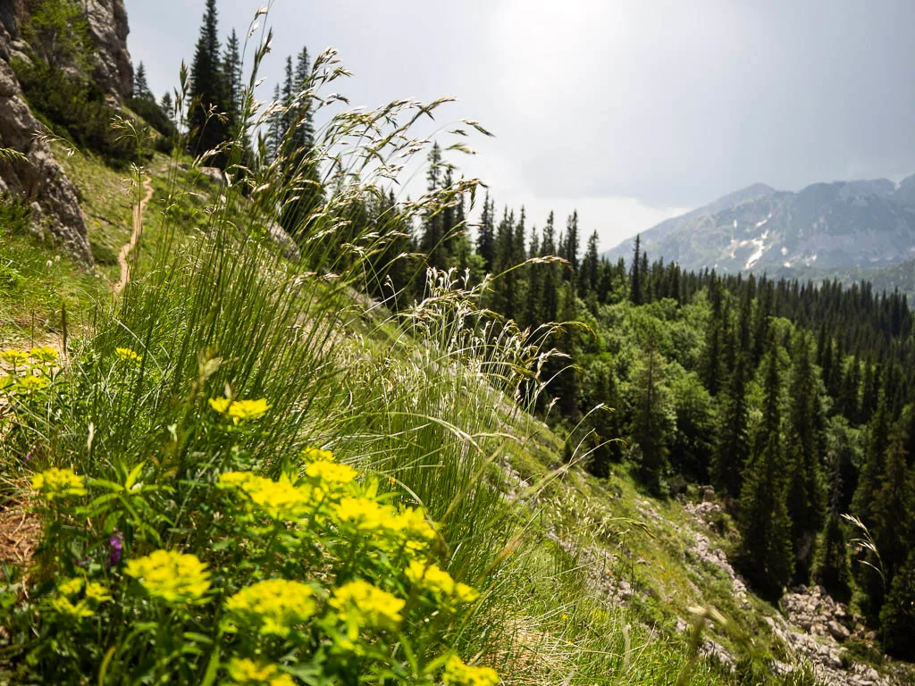 5 Durmitor Nad Jablan Jezerem
