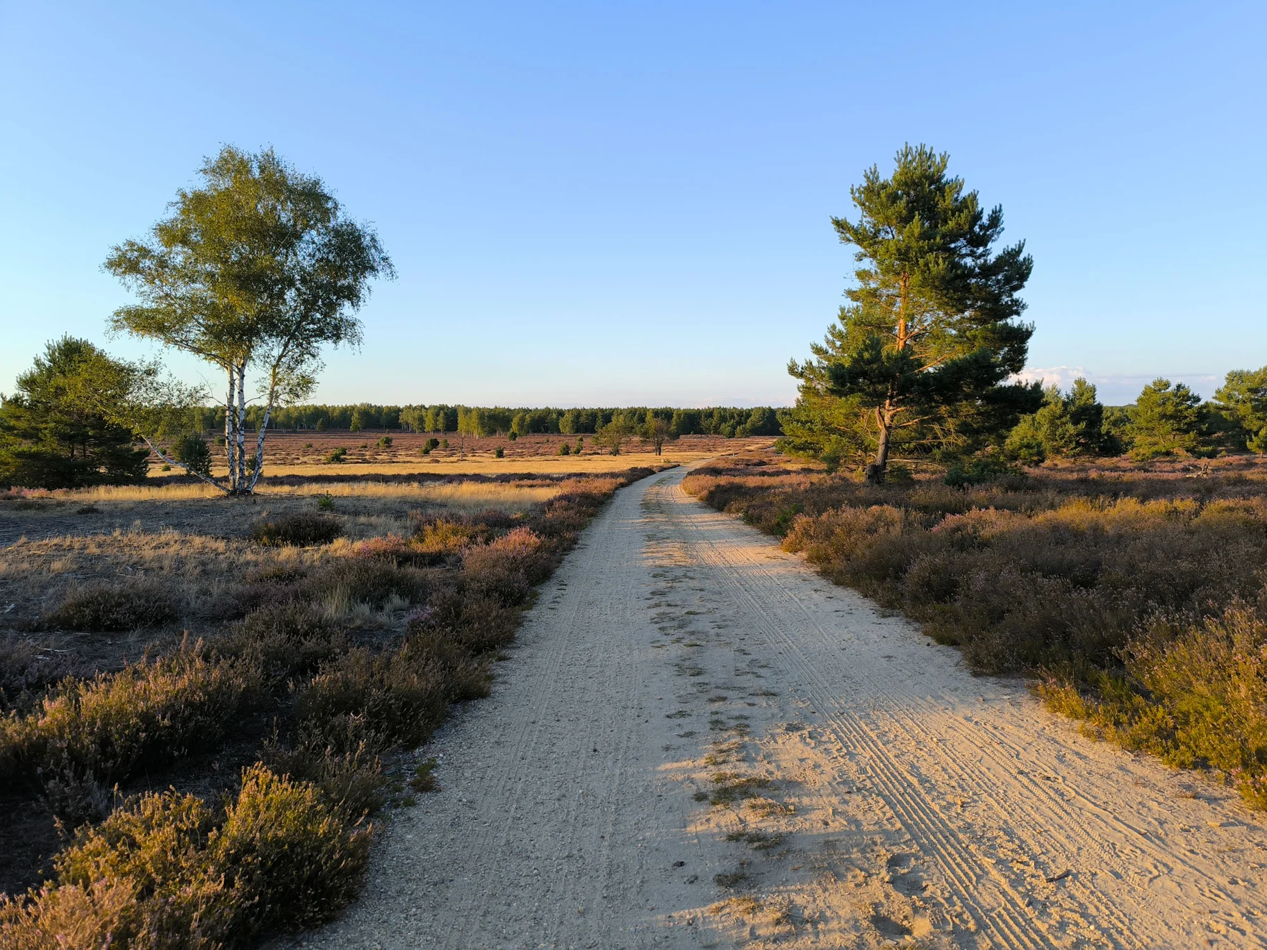 Brandenburg Bikepacking