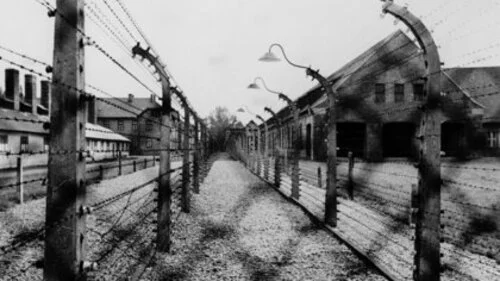Auschwitzzaun