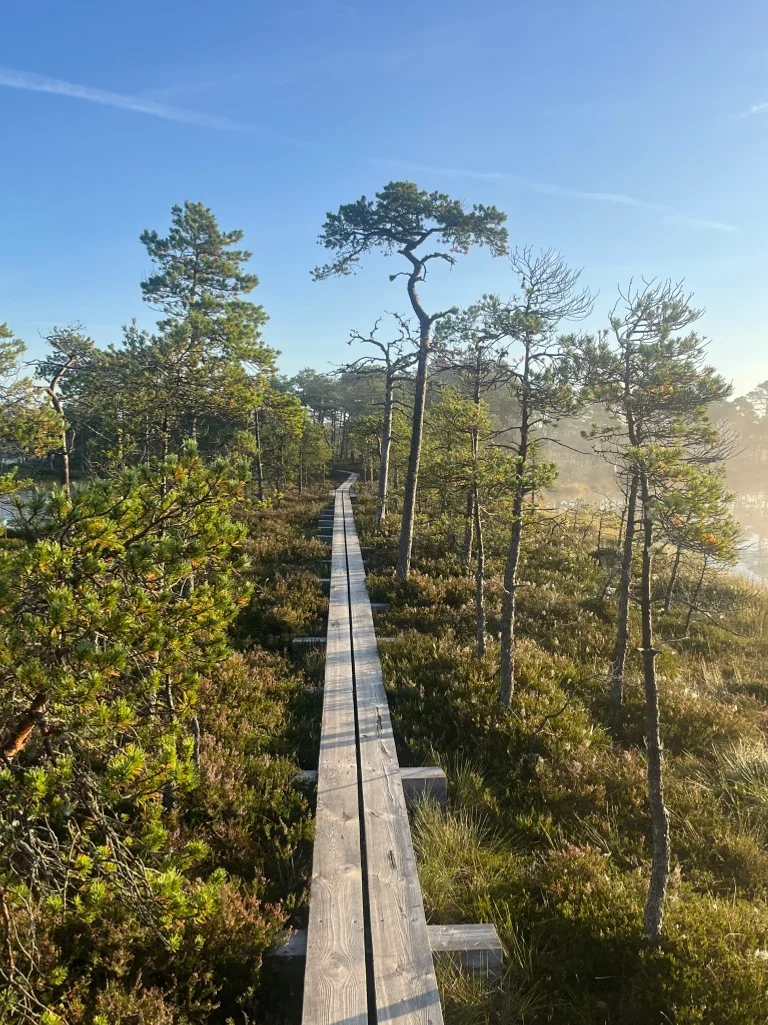 Seli Raba Eesti