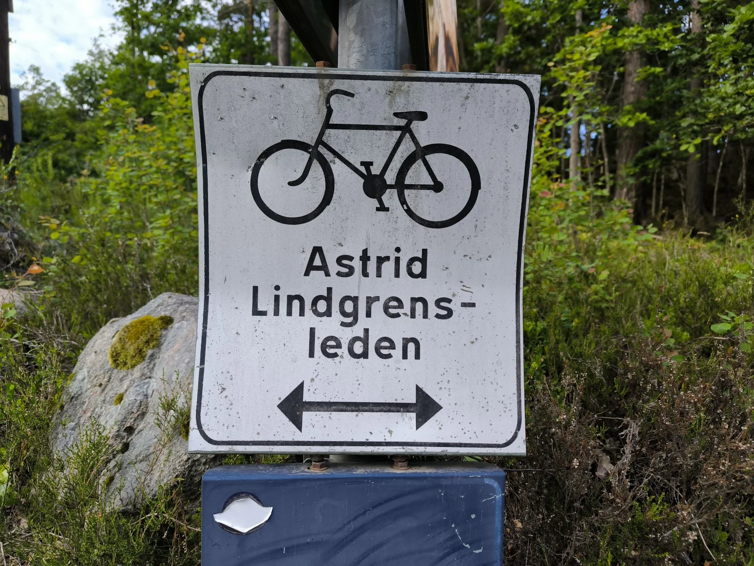 21 Bikepacking Svedsko