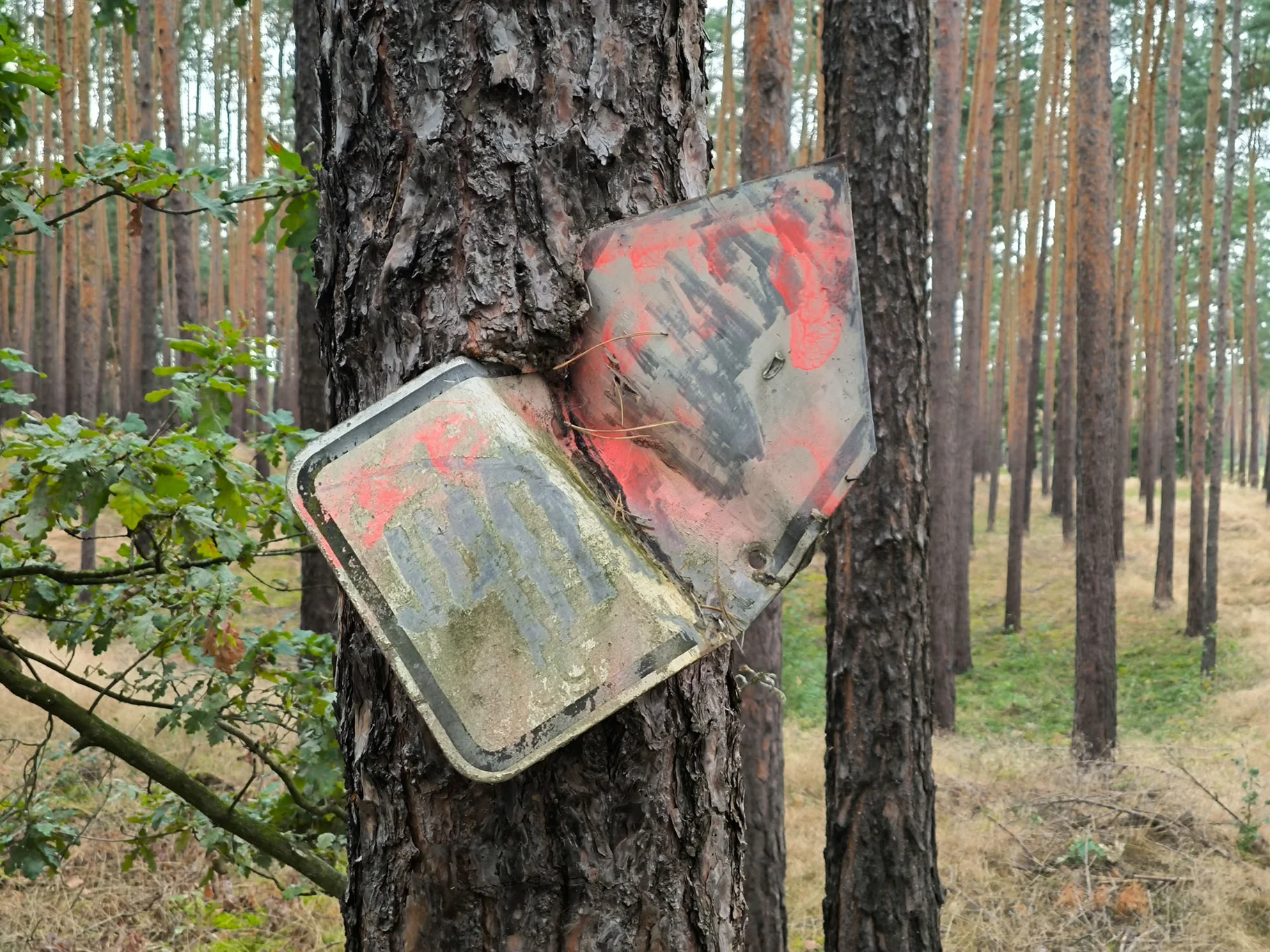 Braniborska Odysea 15