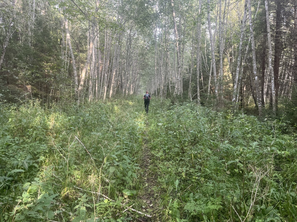 Img 1719