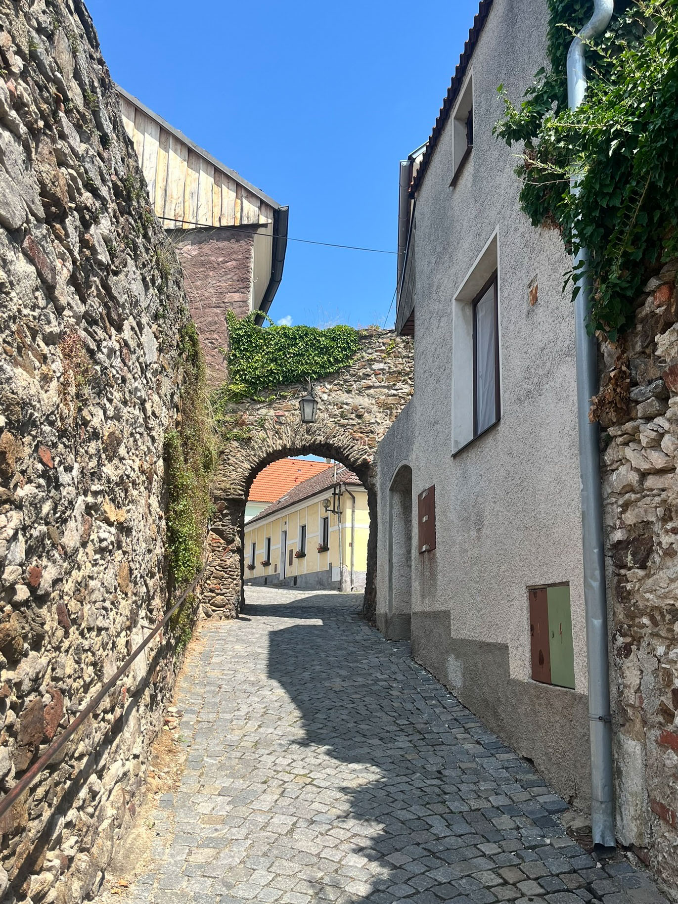 Vintirova Stezka 29