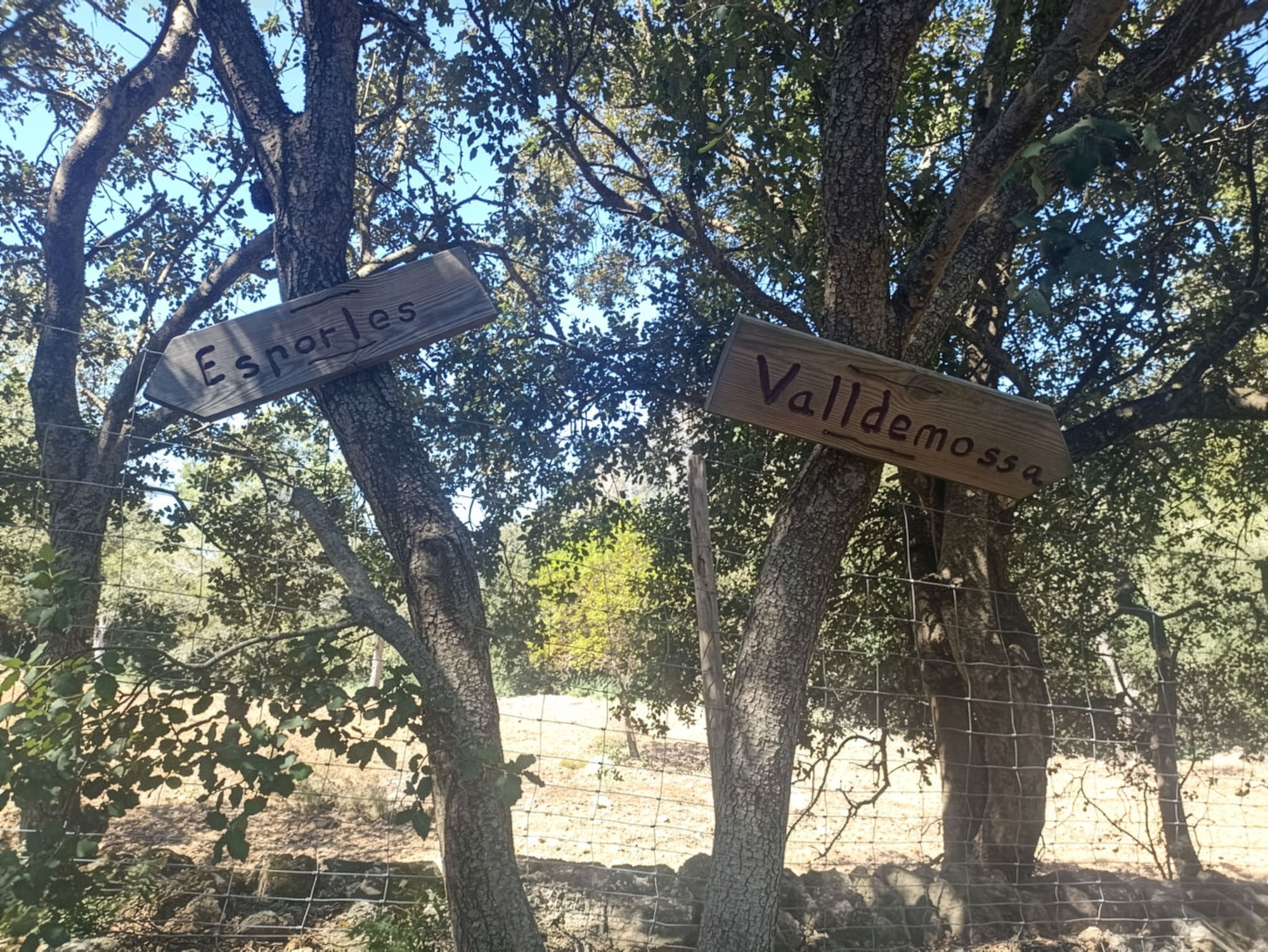 Esporles Valldemossa
