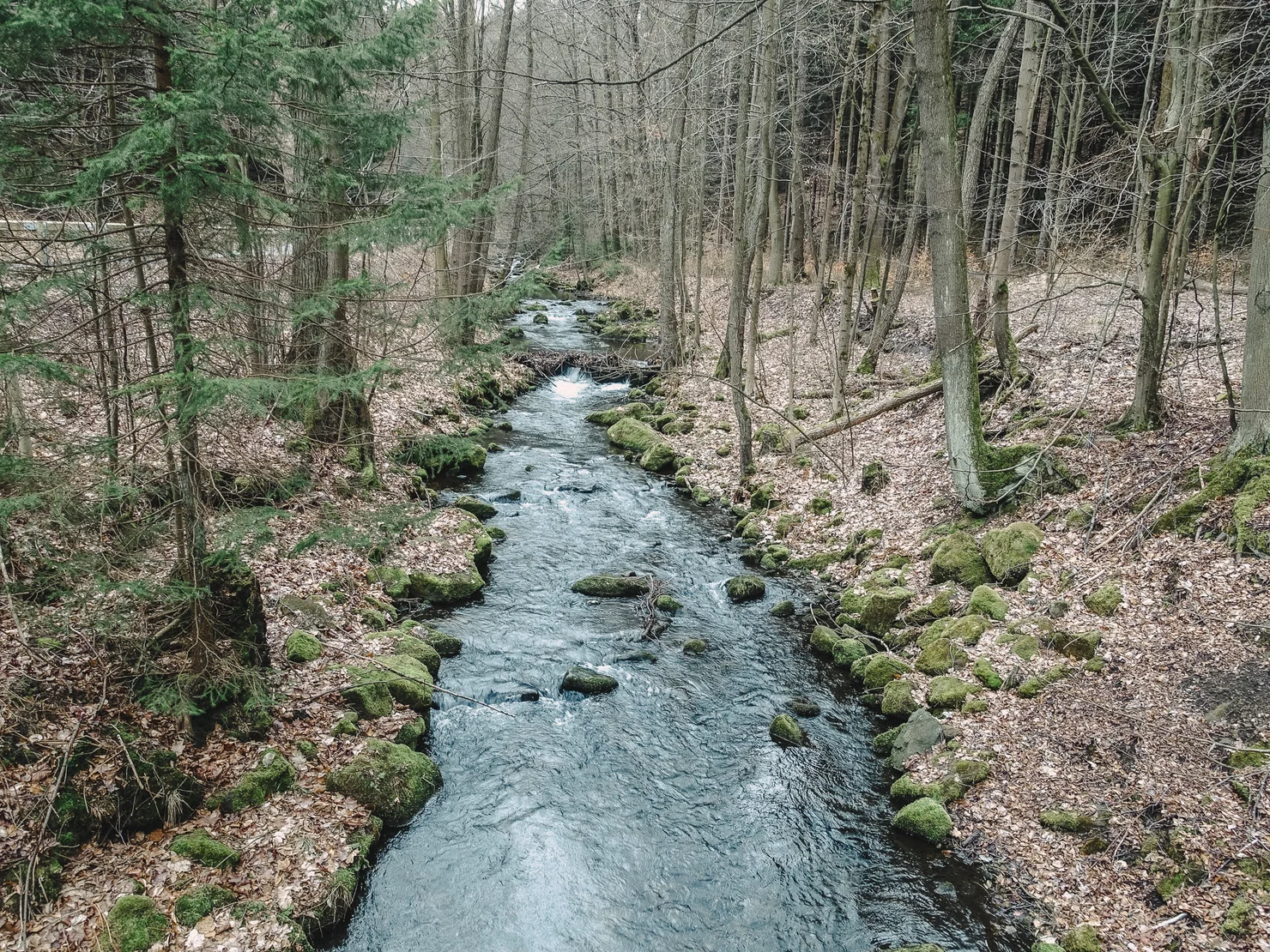 Forsteig Elbsandstein Lesni Stezka Labske Piskovce Nalehko 01 12