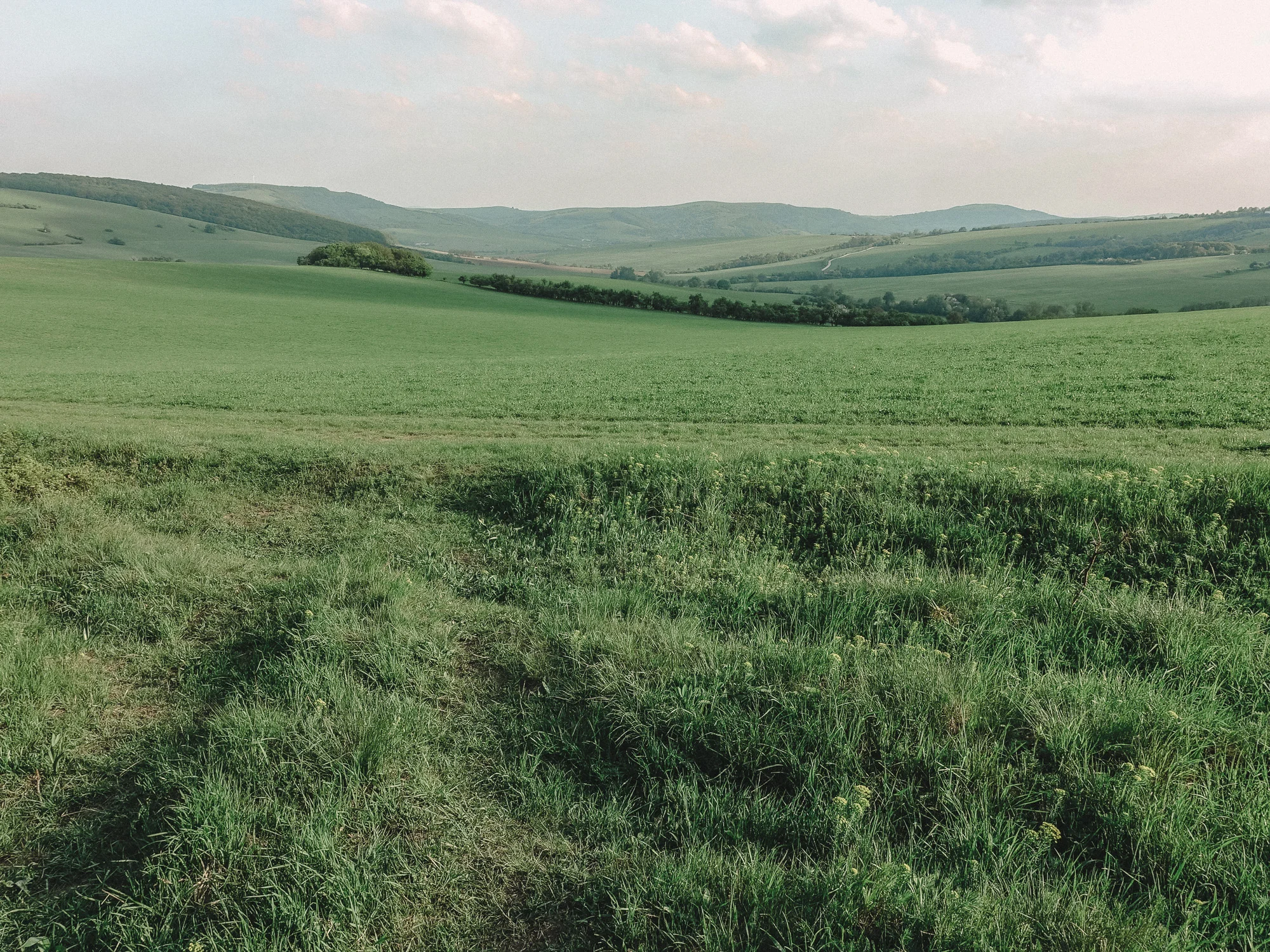 Prechod Bile Karpaty Nalehko 01 9