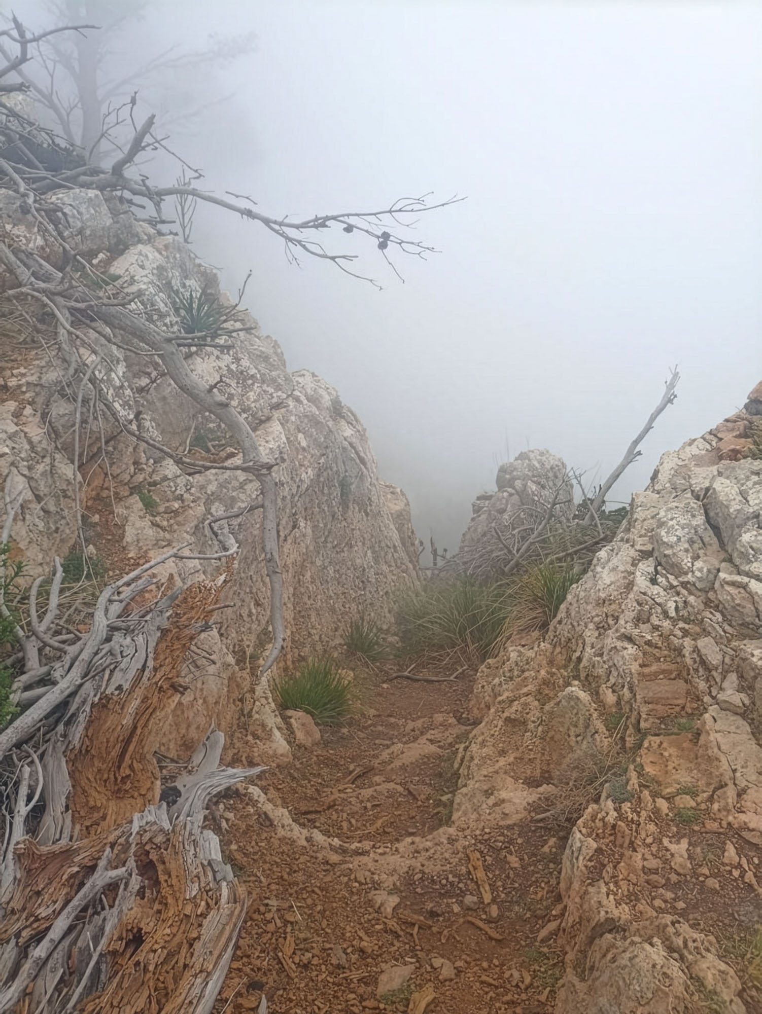Gr 221 Mlha